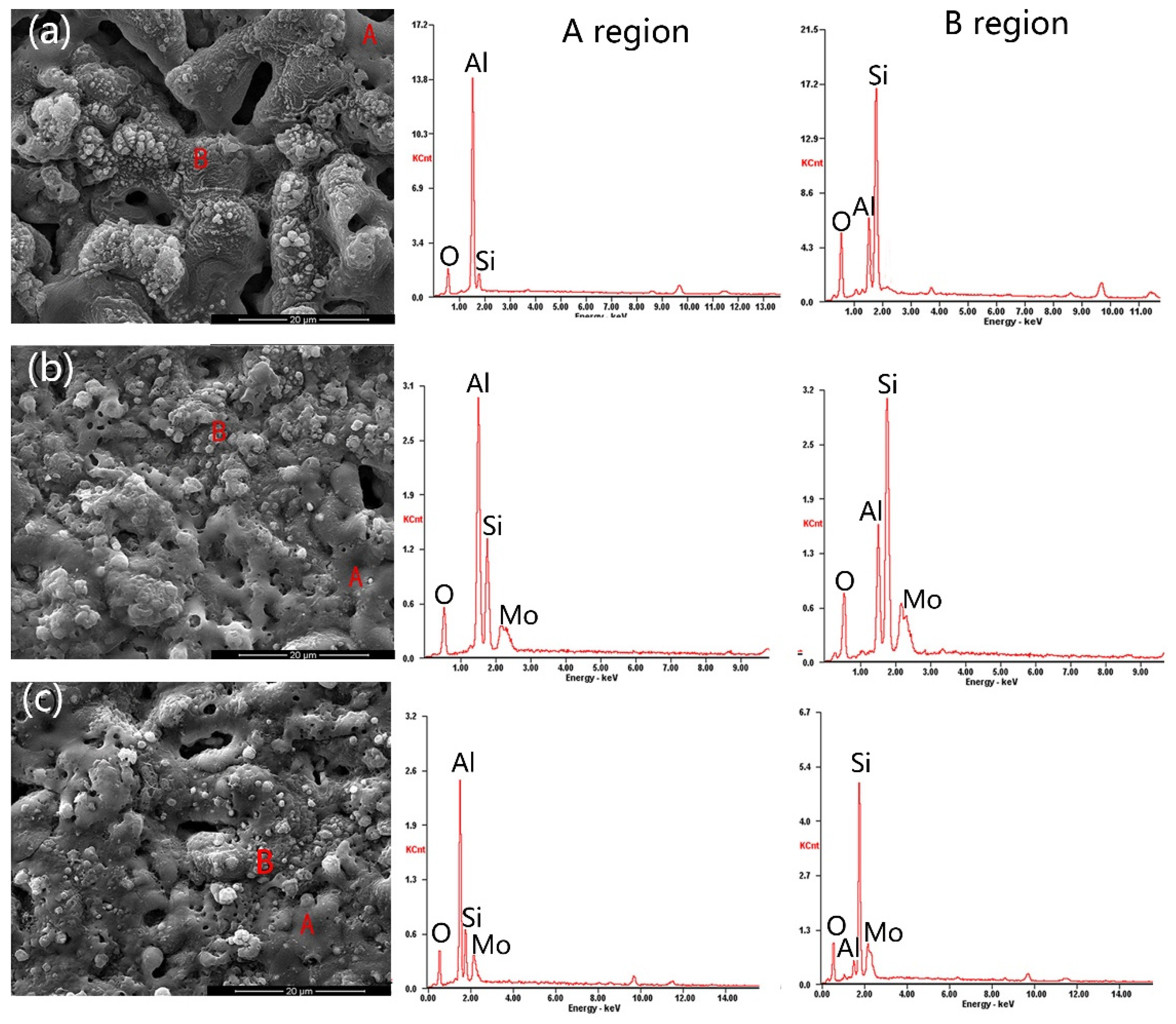Coatings 11 00915 g001