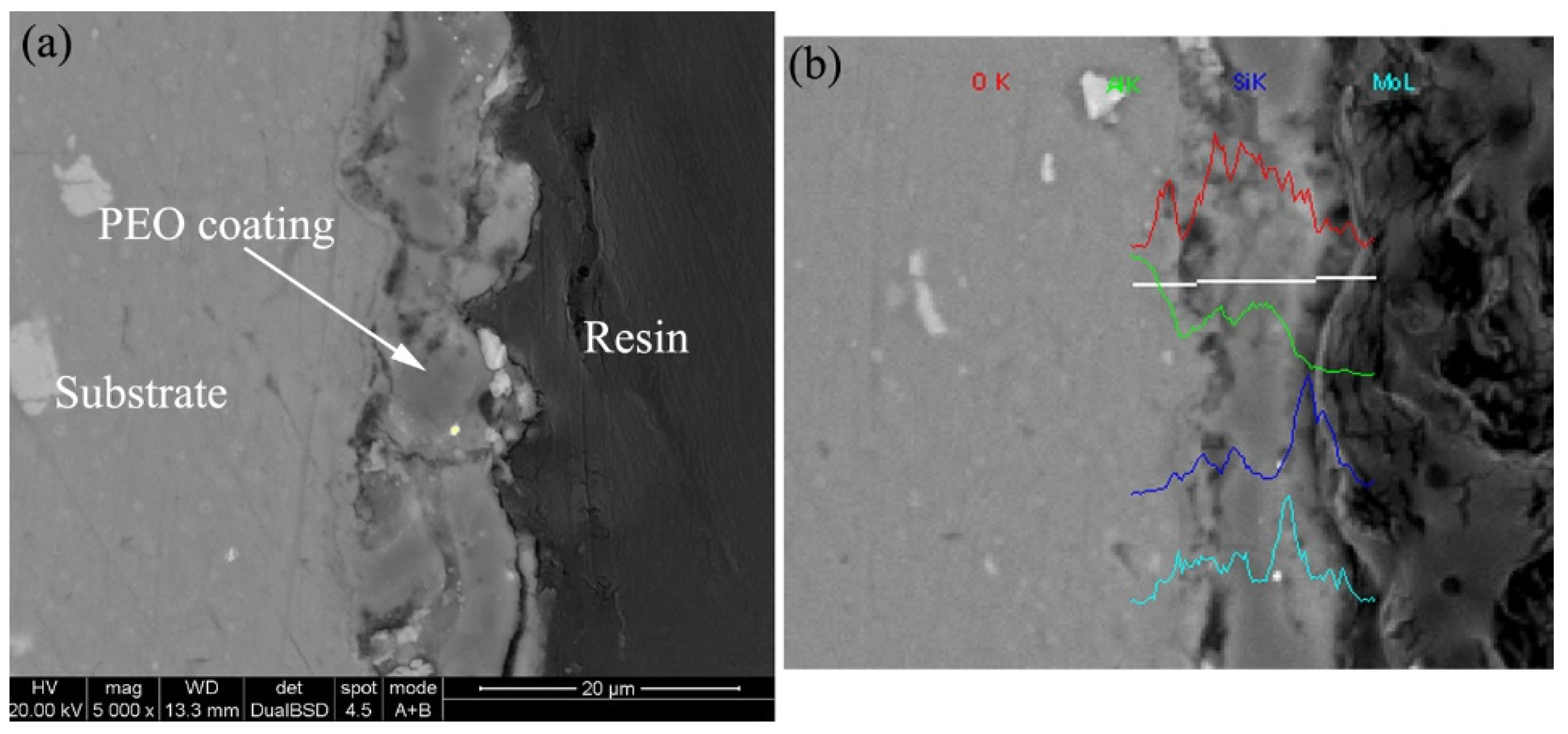 Coatings 11 00915 g002