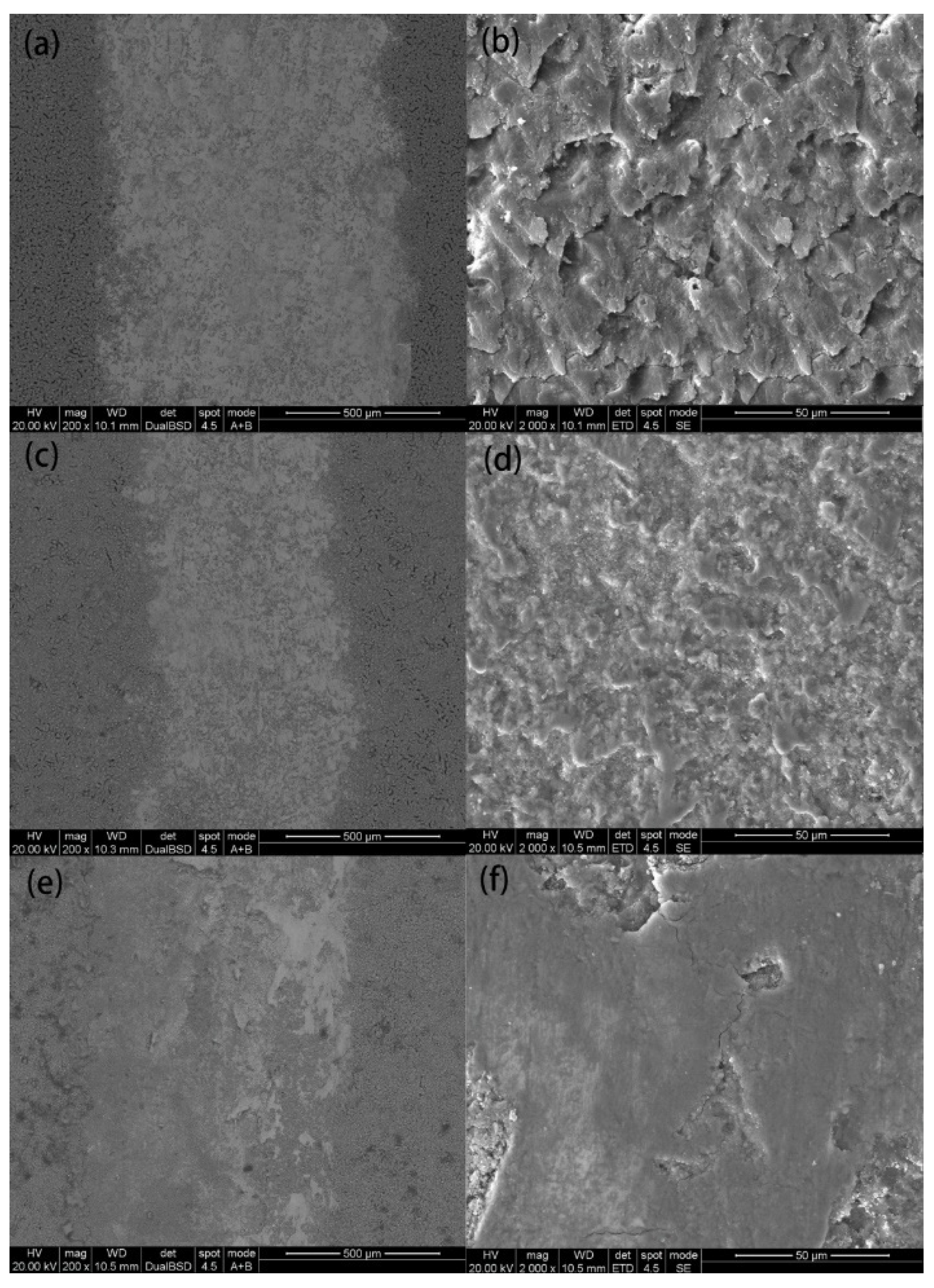 Coatings 11 00915 g007