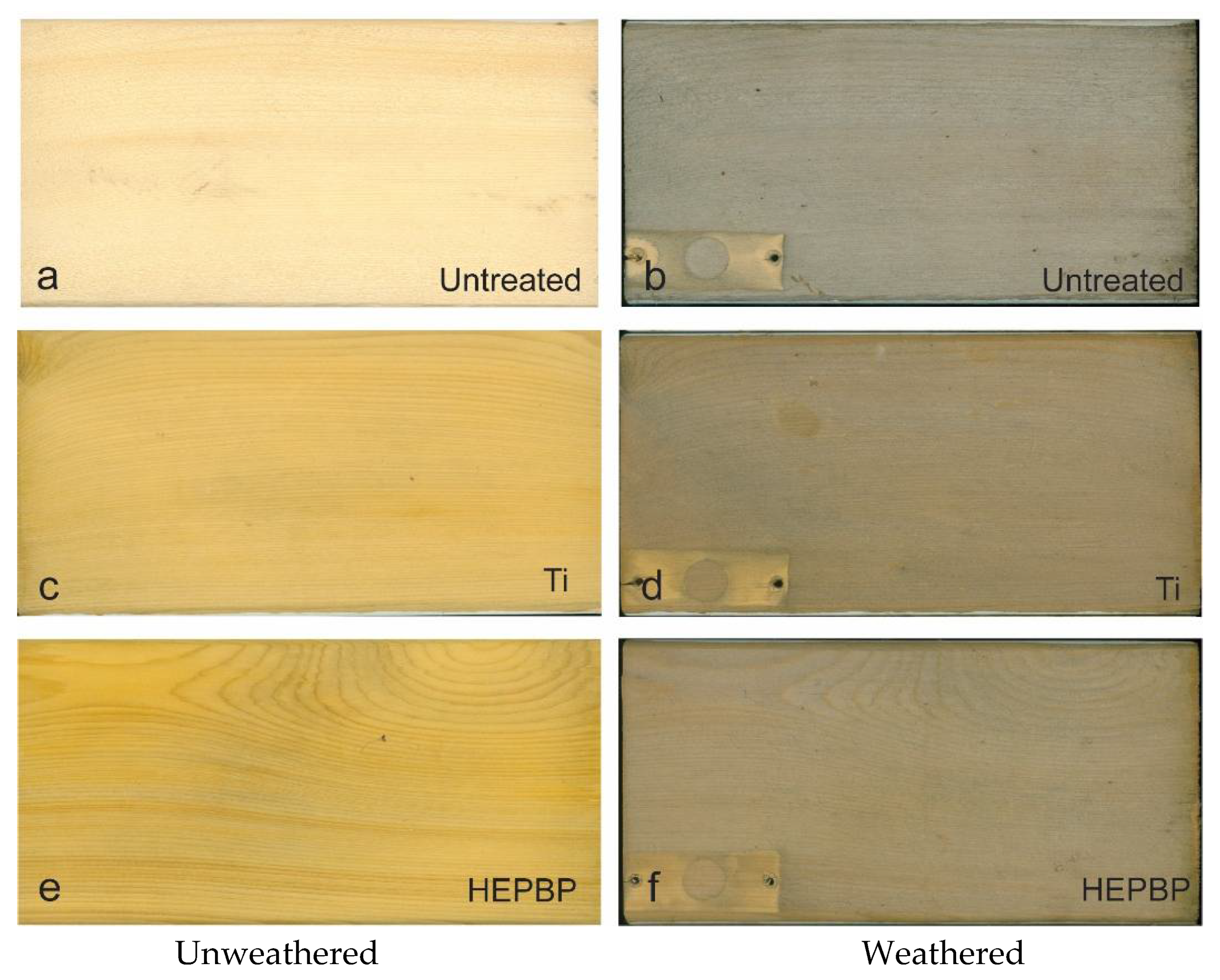 Coatings 11 00916 g006