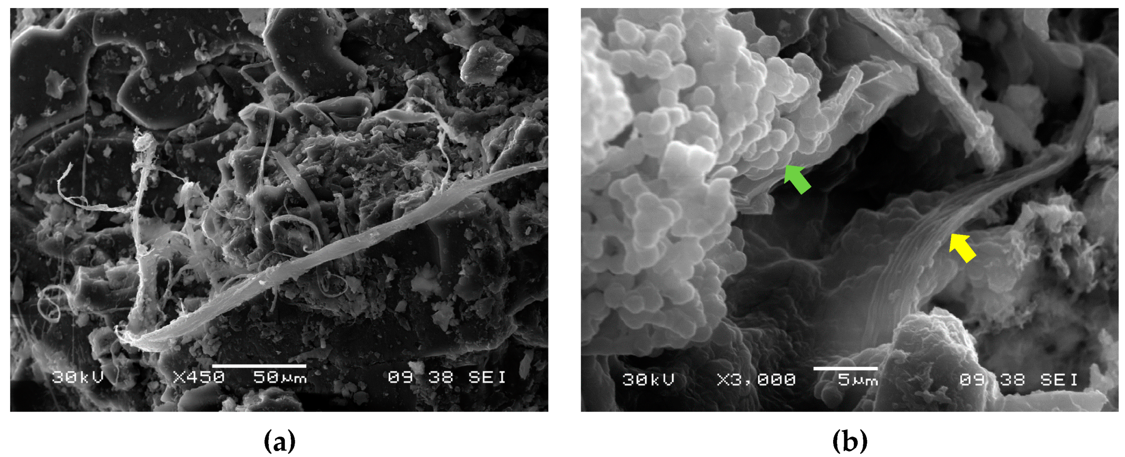 Coatings 11 00917 g004 550