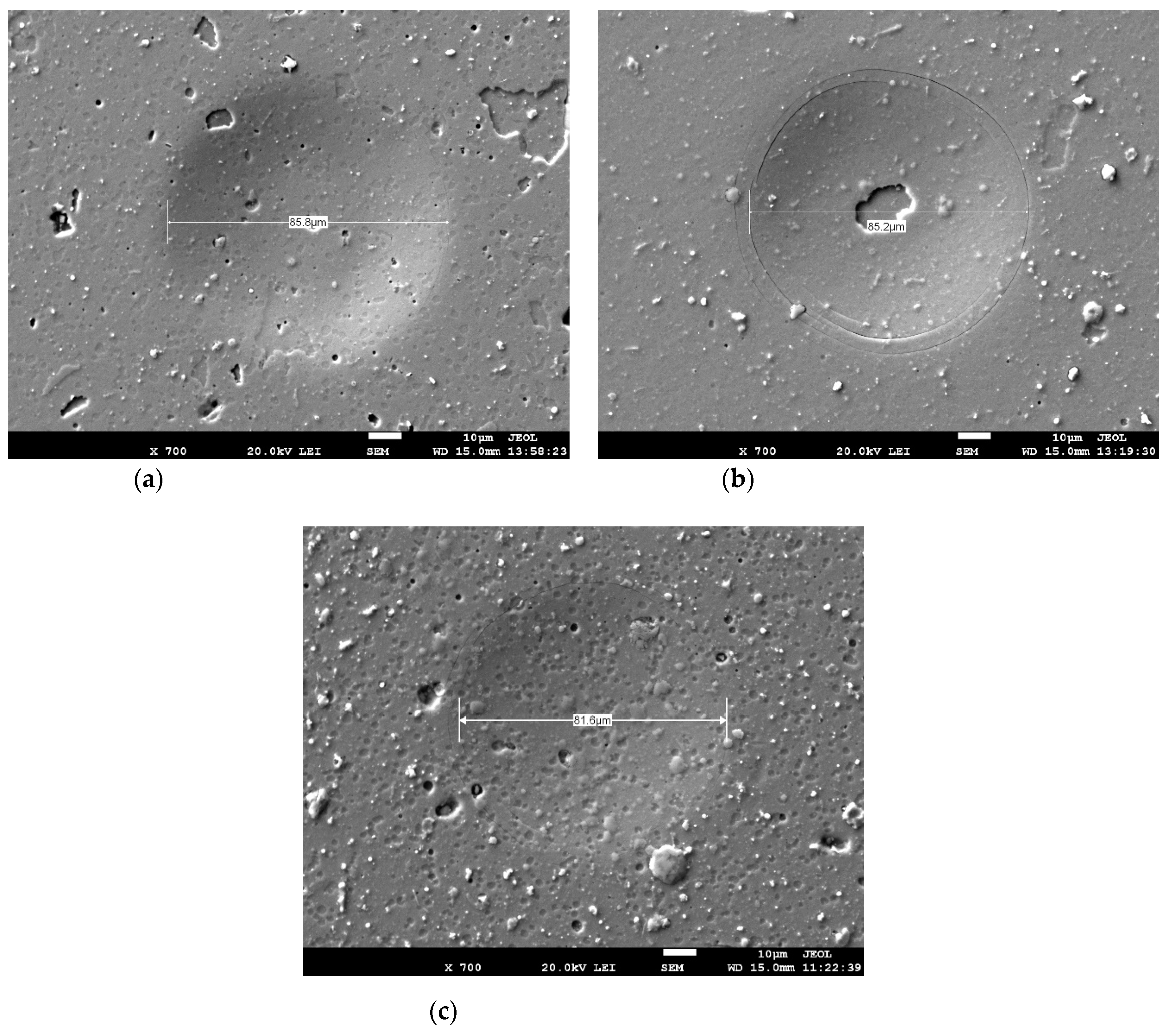 Coatings 11 00919 g010