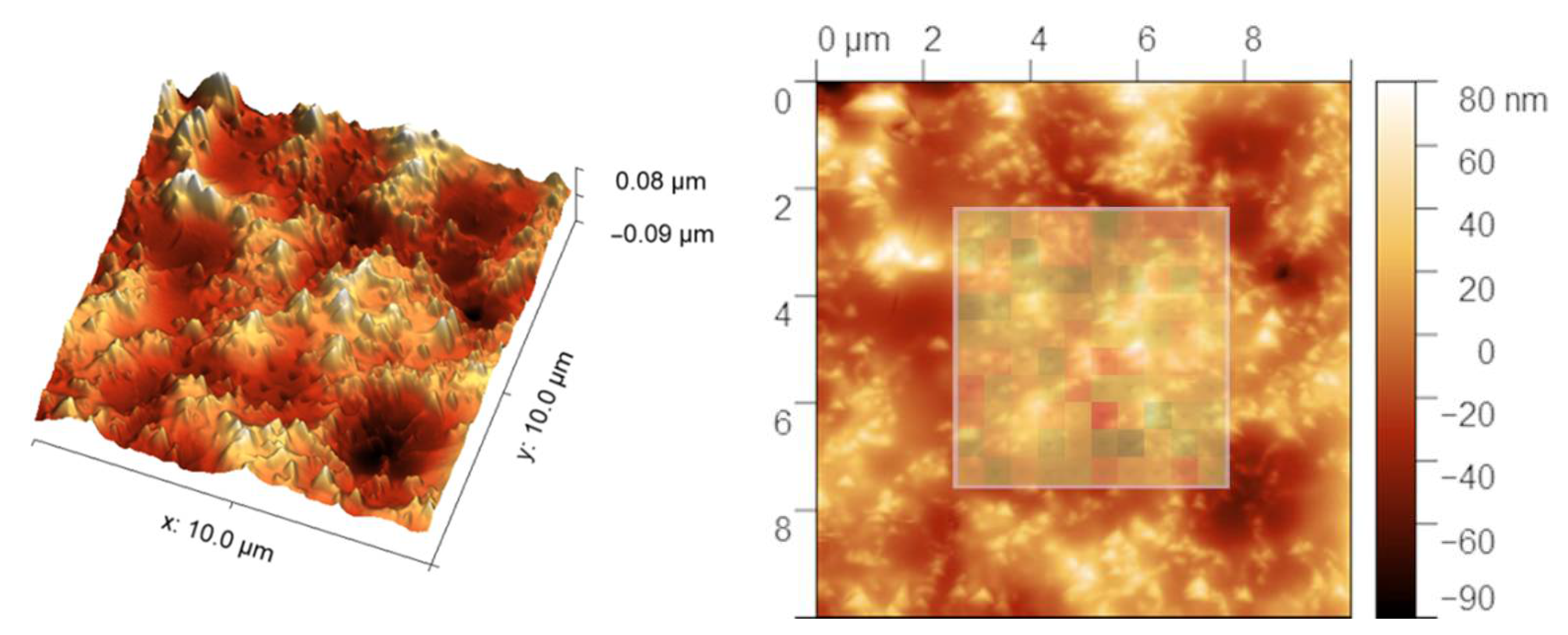 Coatings 11 00920 g005