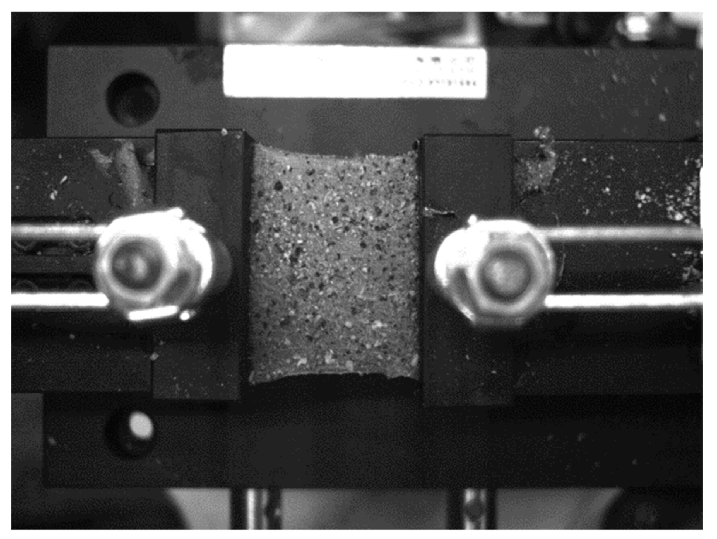 Coatings 11 00924 g007