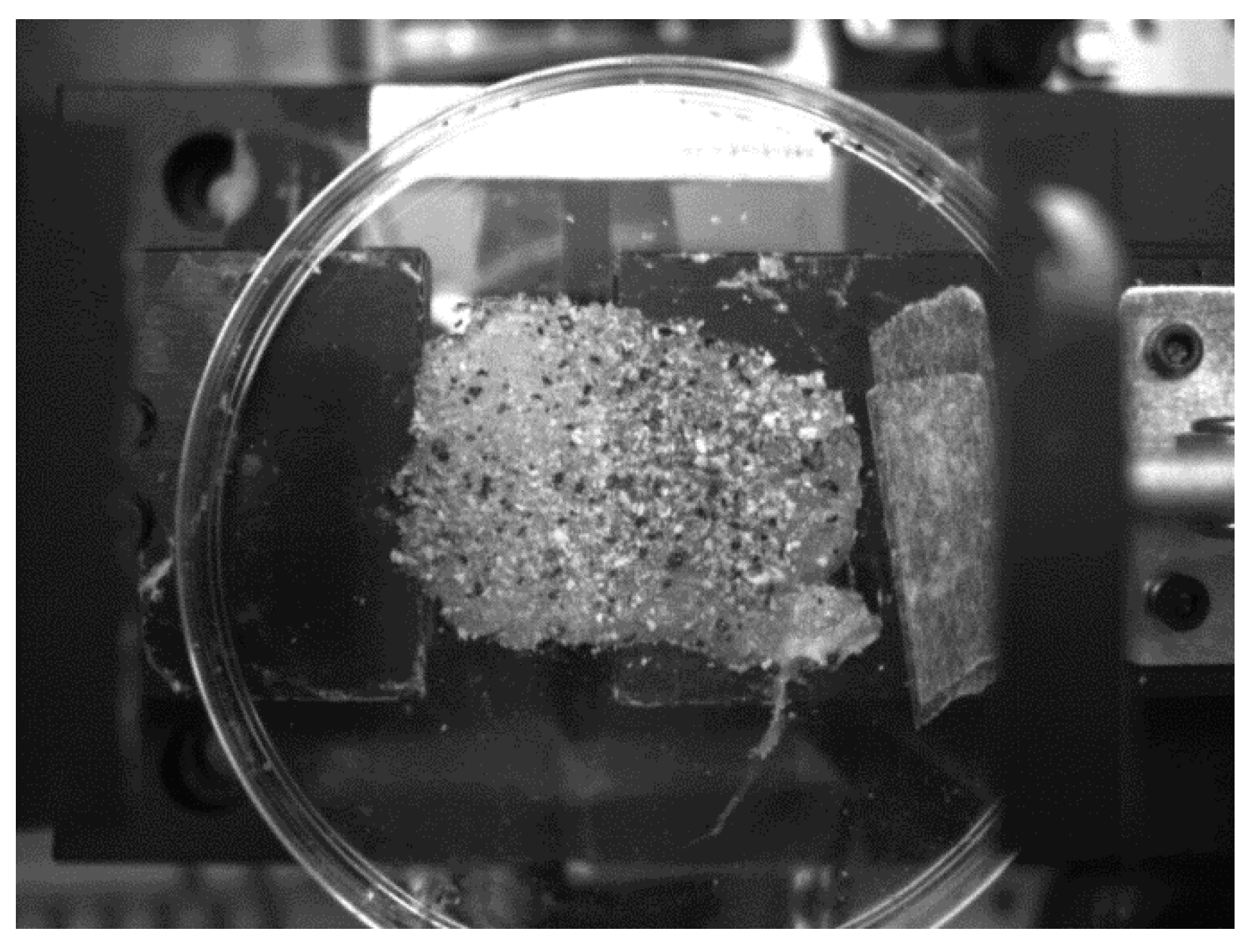 Coatings 11 00924 g011