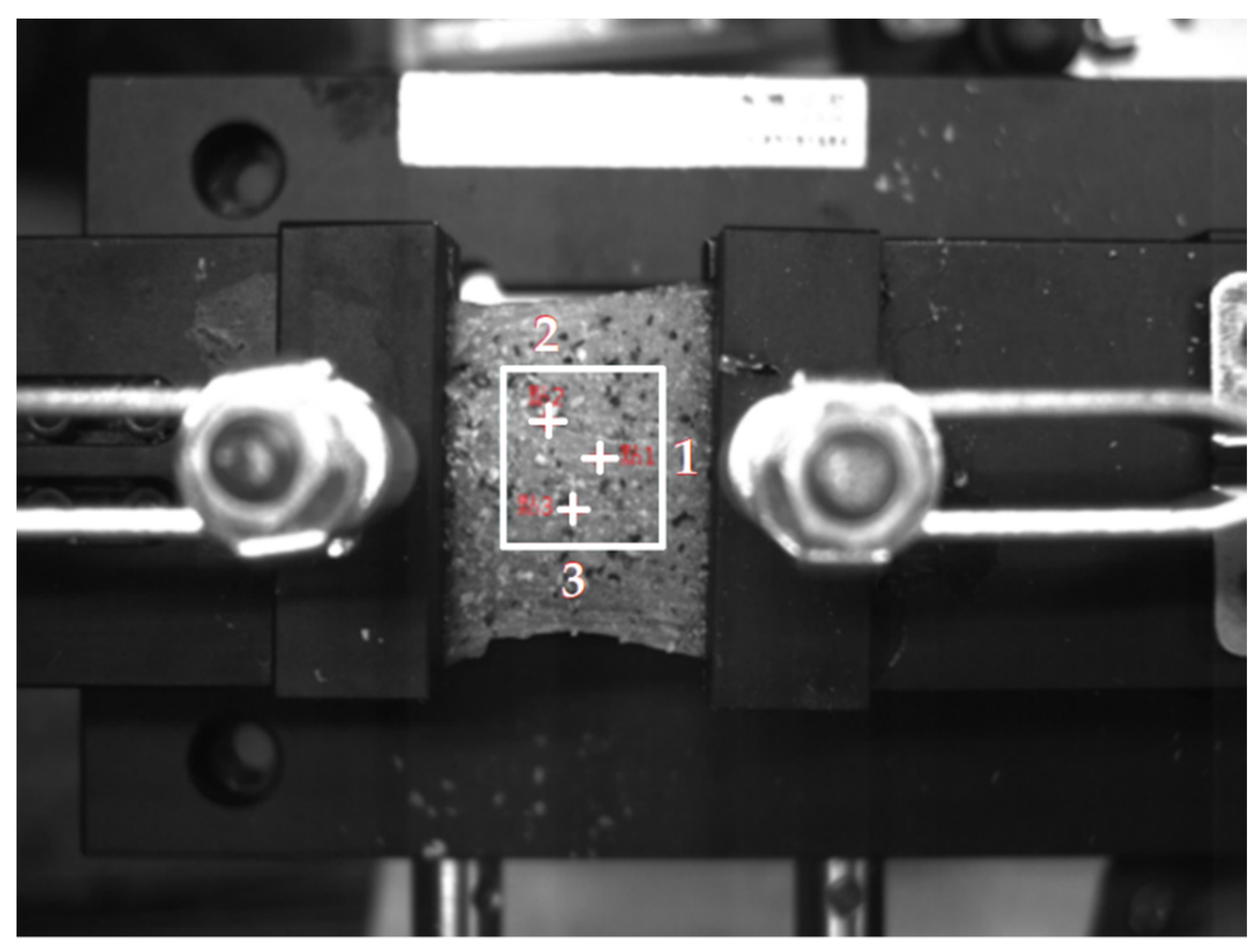 Coatings 11 00924 g013
