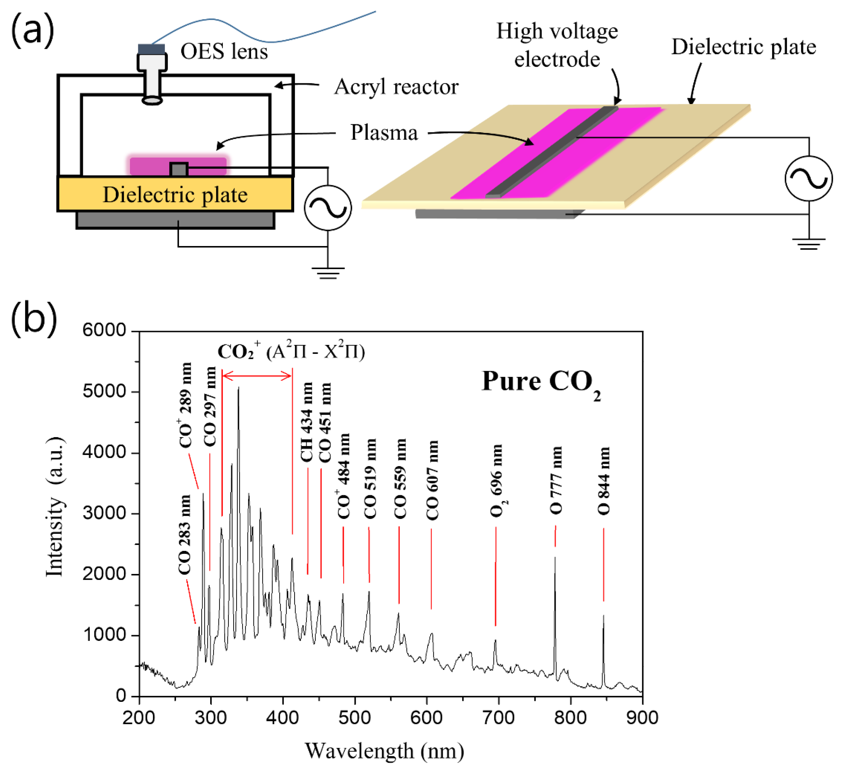 Coatings 11 00925 g002