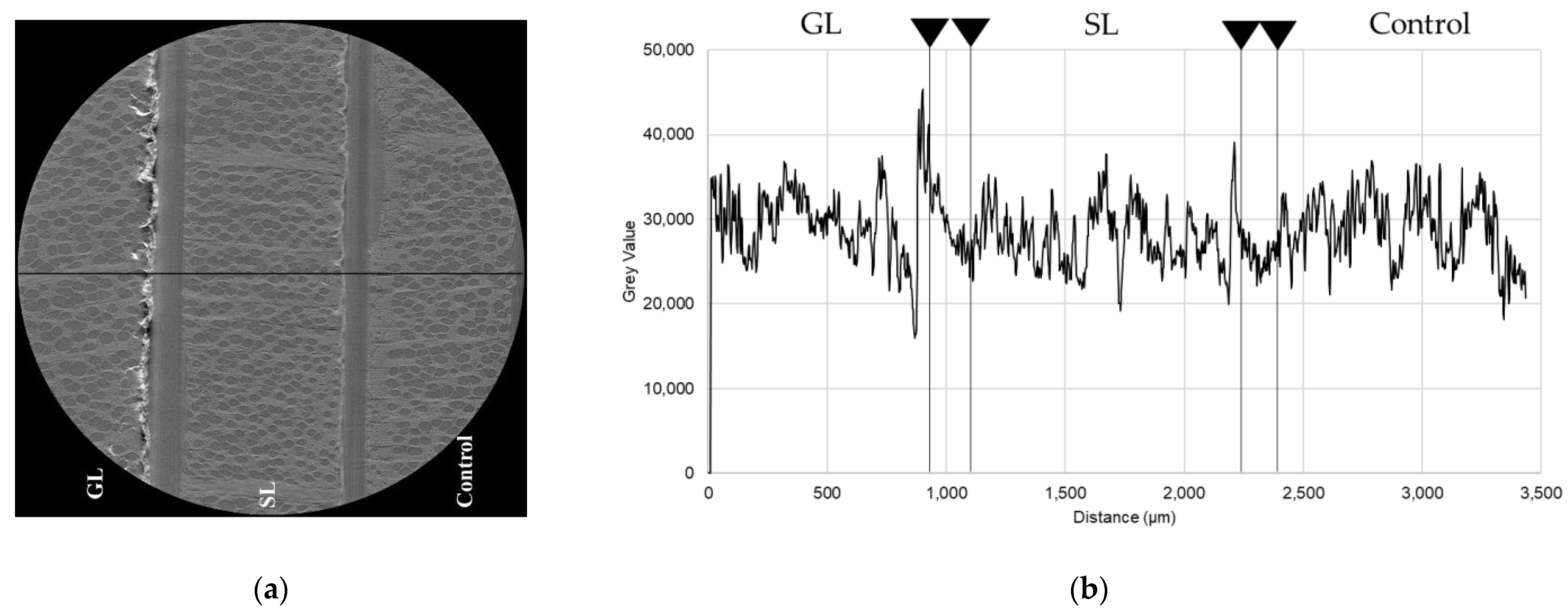 Coatings 11 00927 g005 Coatings 11 00927 g005