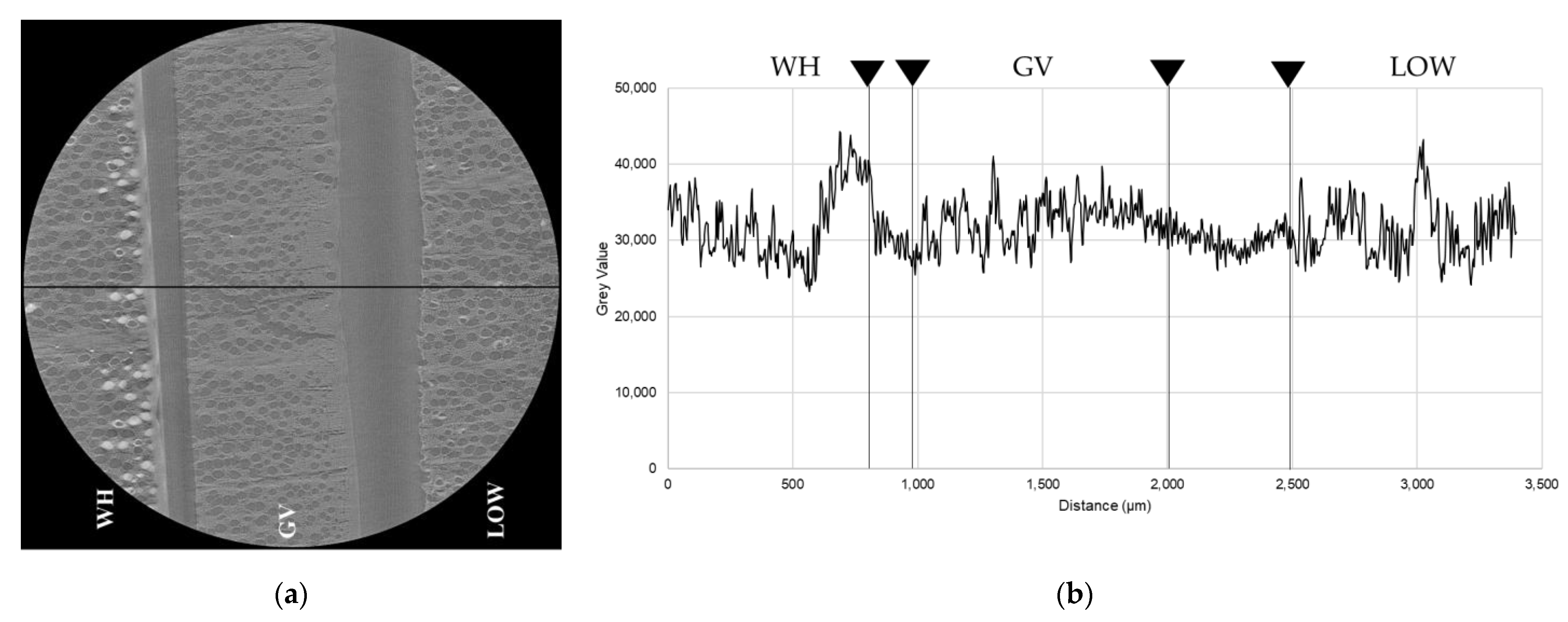 Coatings 11 00927 g007 Coatings 11 00927 g007
