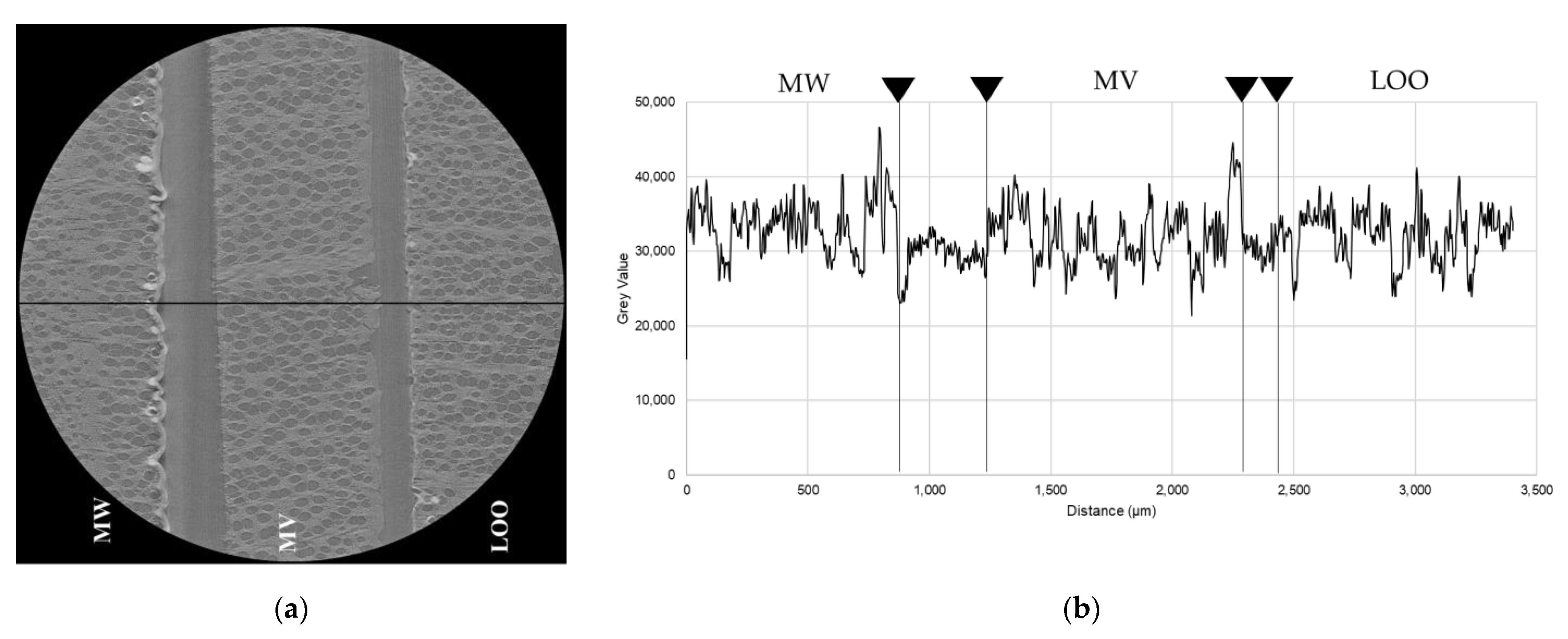 Coatings 11 00927 g008 Coatings 11 00927 g008