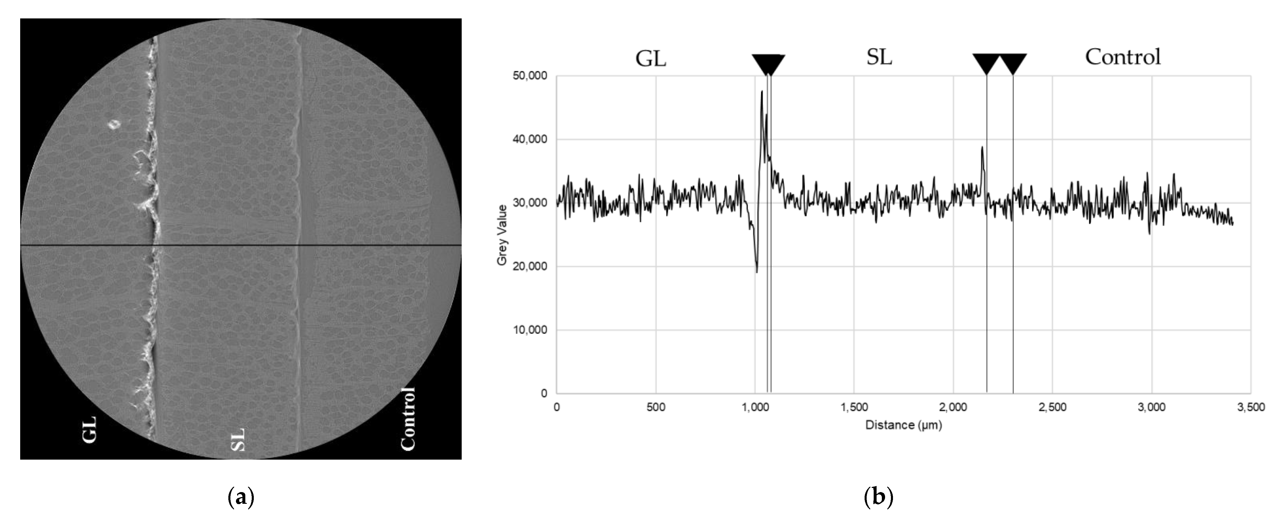 Coatings 11 00927 g009 Coatings 11 00927 g009