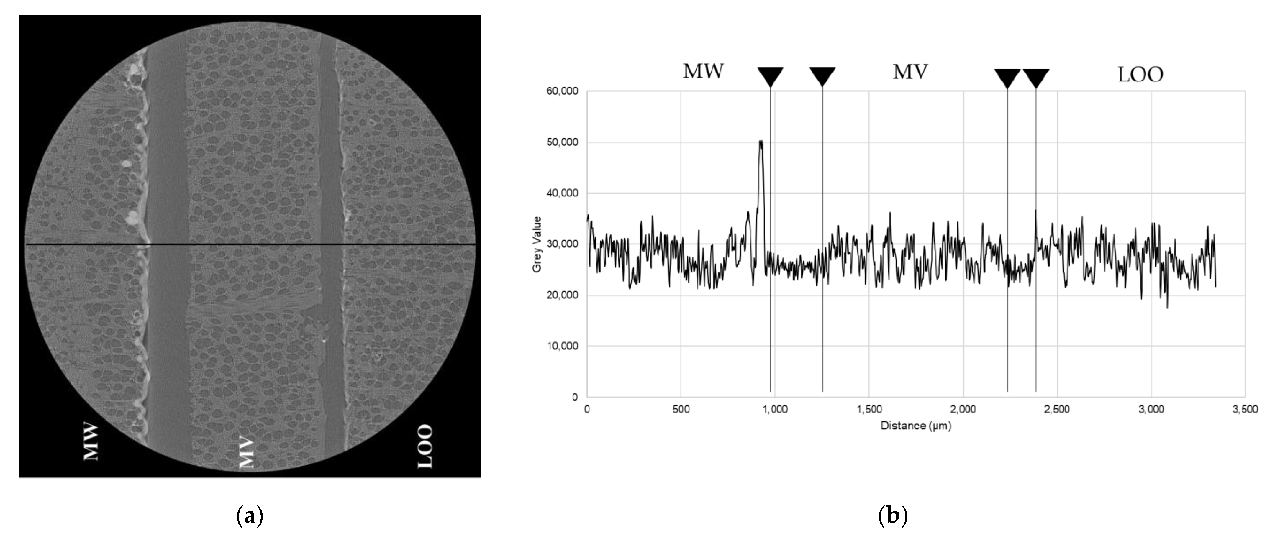 Coatings 11 00927 g012 Coatings 11 00927 g012