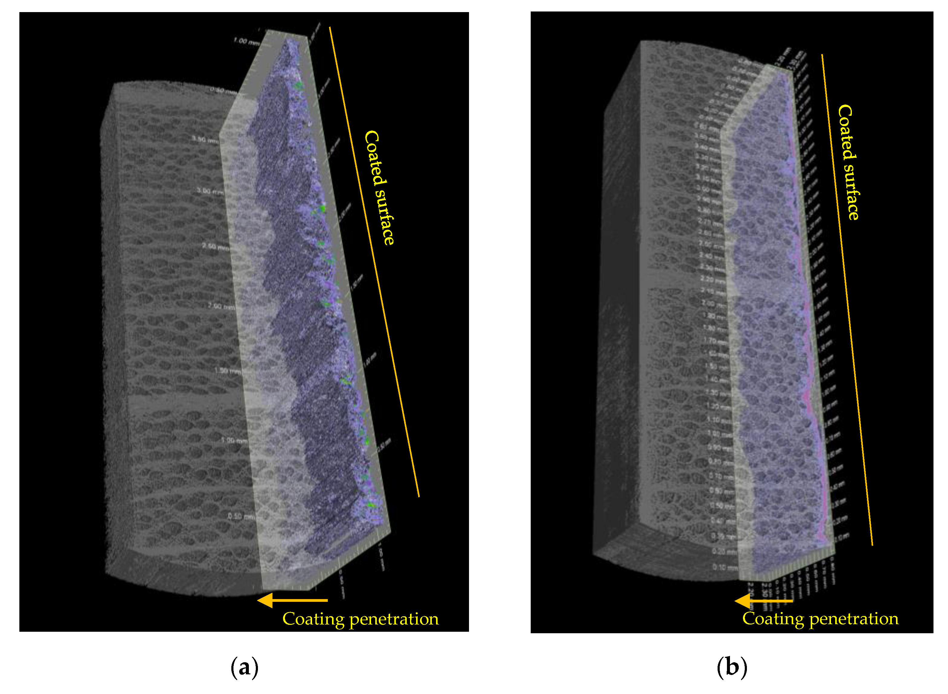 Coatings 11 00927 g014 Coatings 11 00927 g014