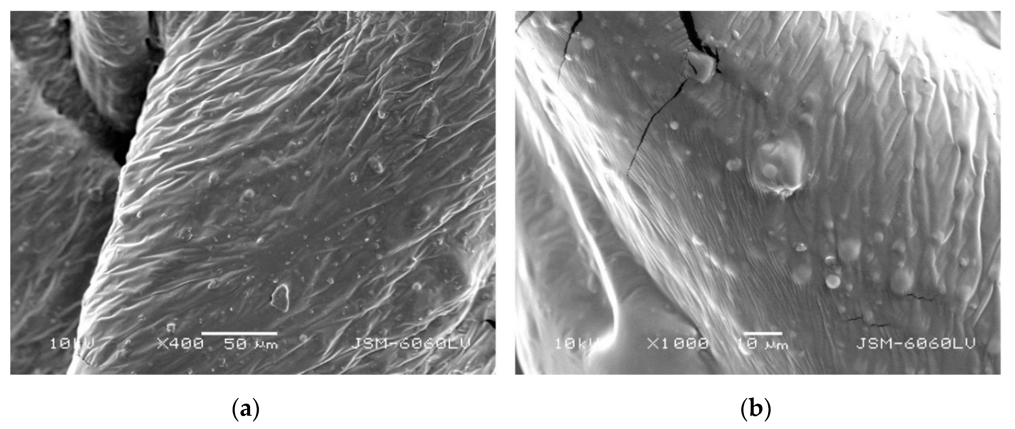 Coatings 11 00928 g001