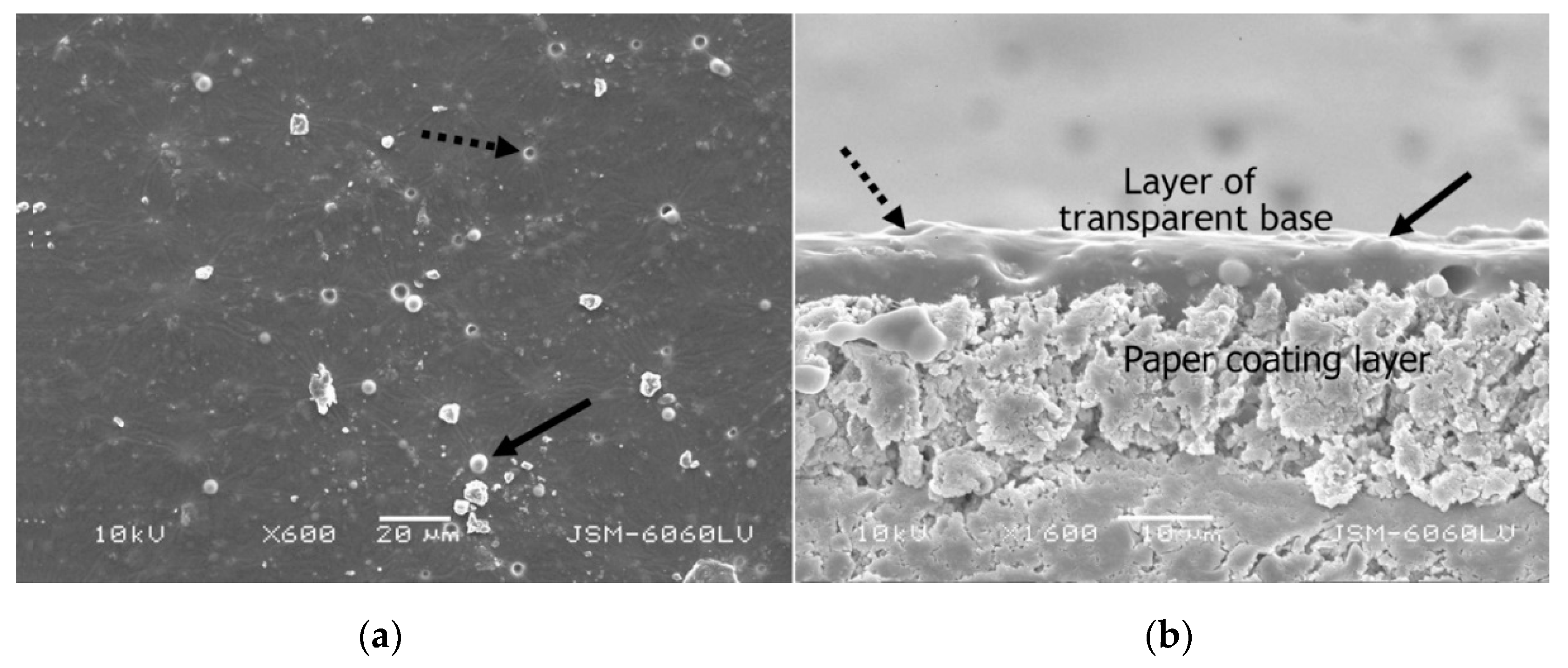 Coatings 11 00928 g002