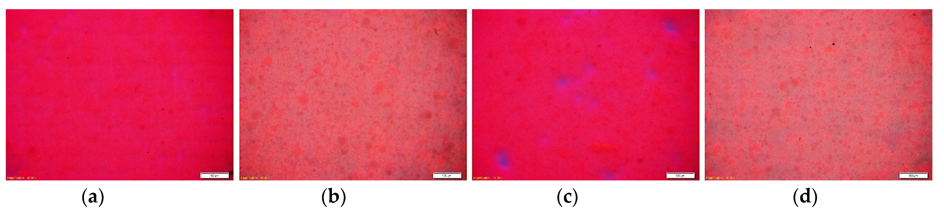 Coatings 11 00928 g012