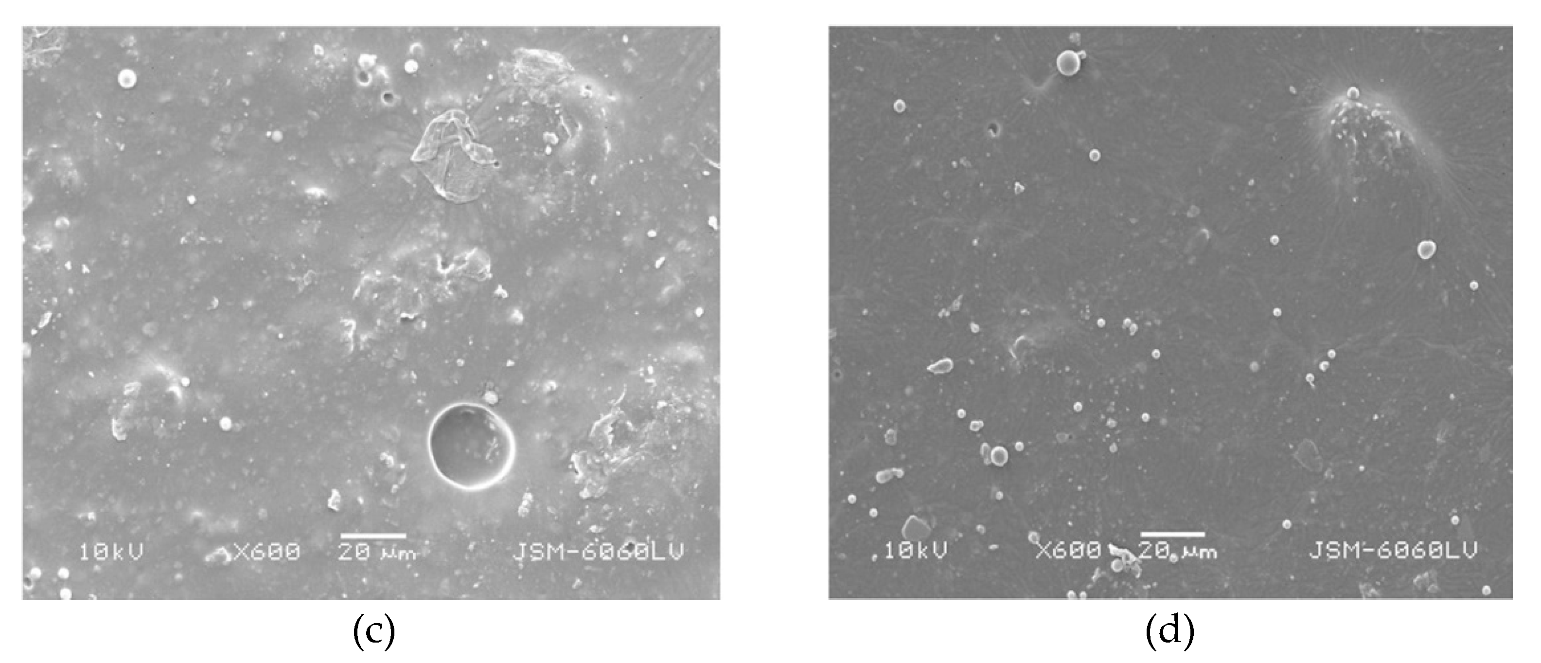Coatings 11 00928 g013b