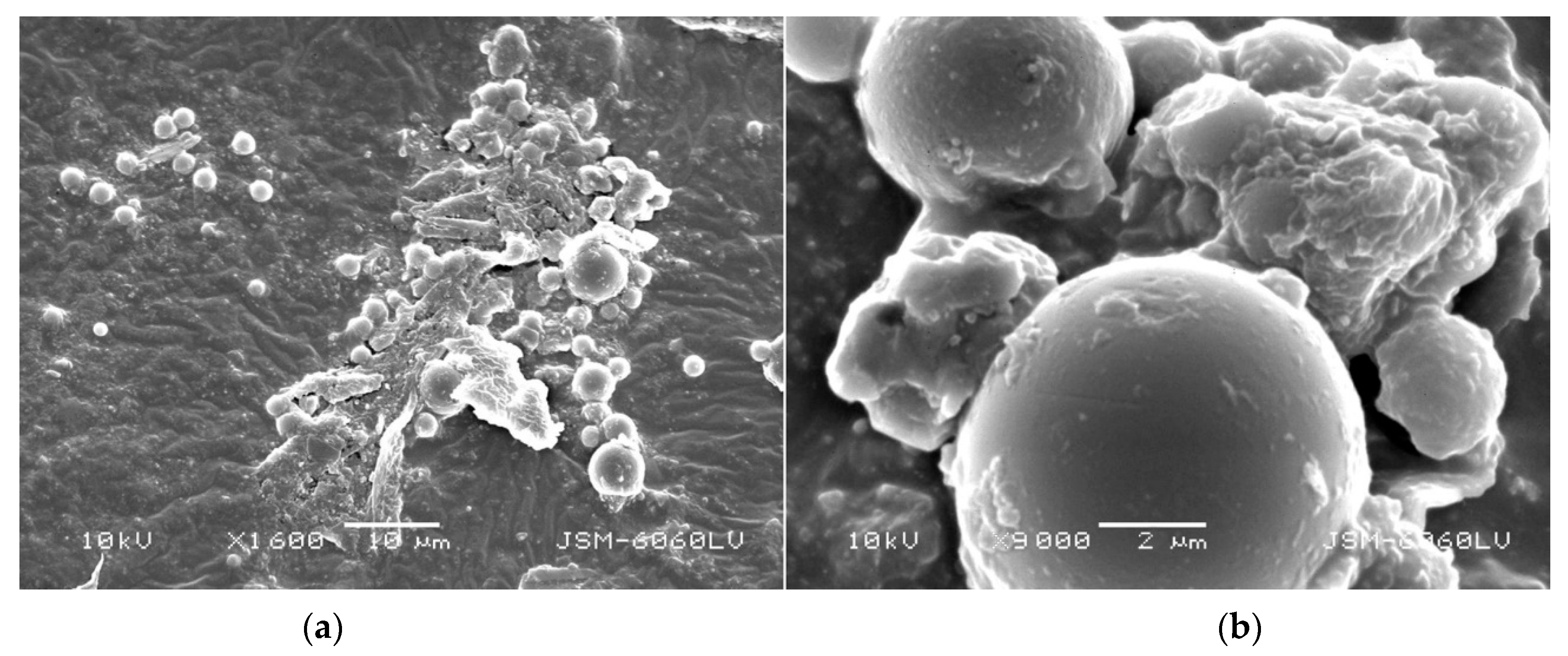 Coatings 11 00928 g014