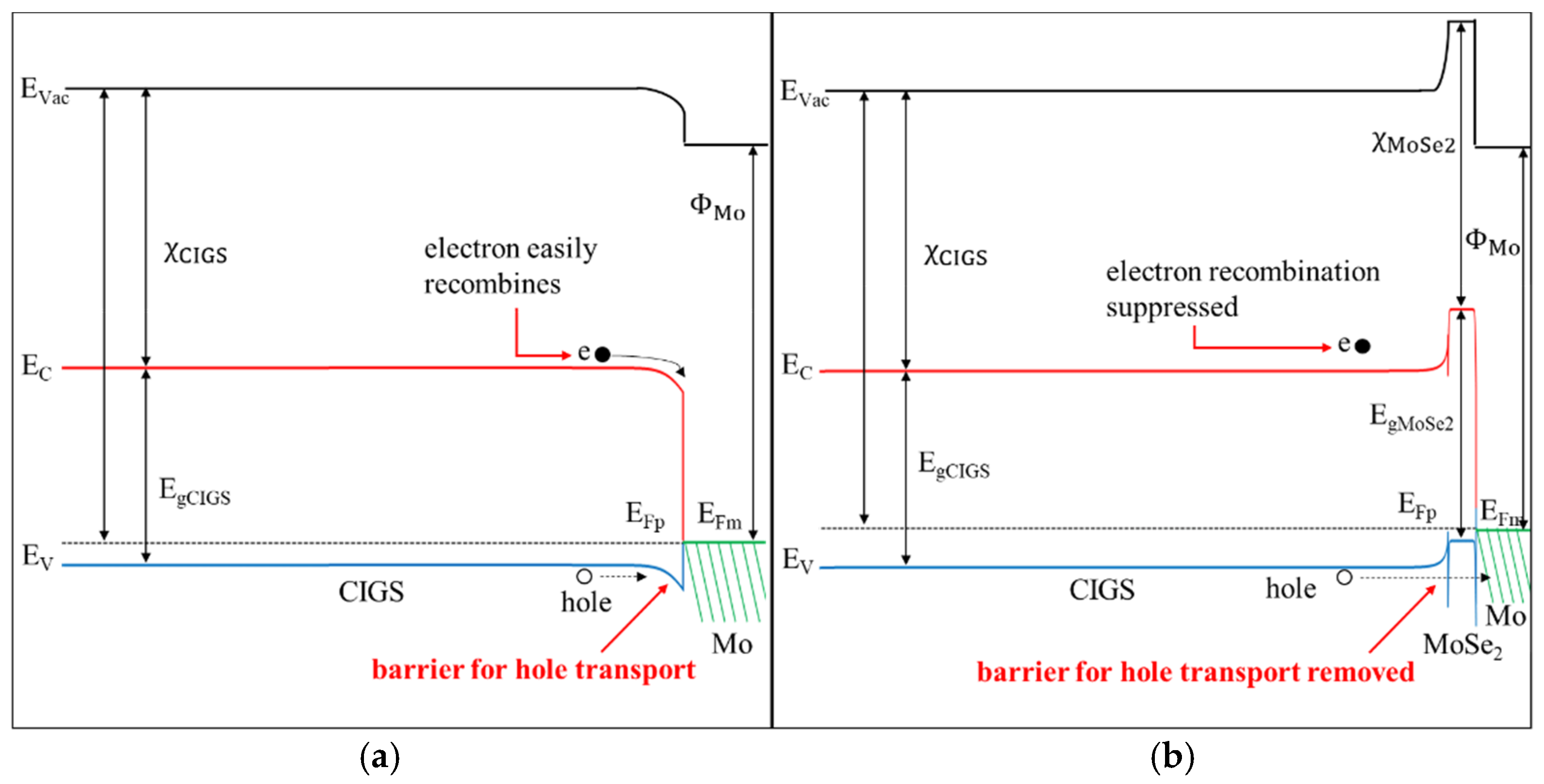 Coatings 11 00930 g003 550