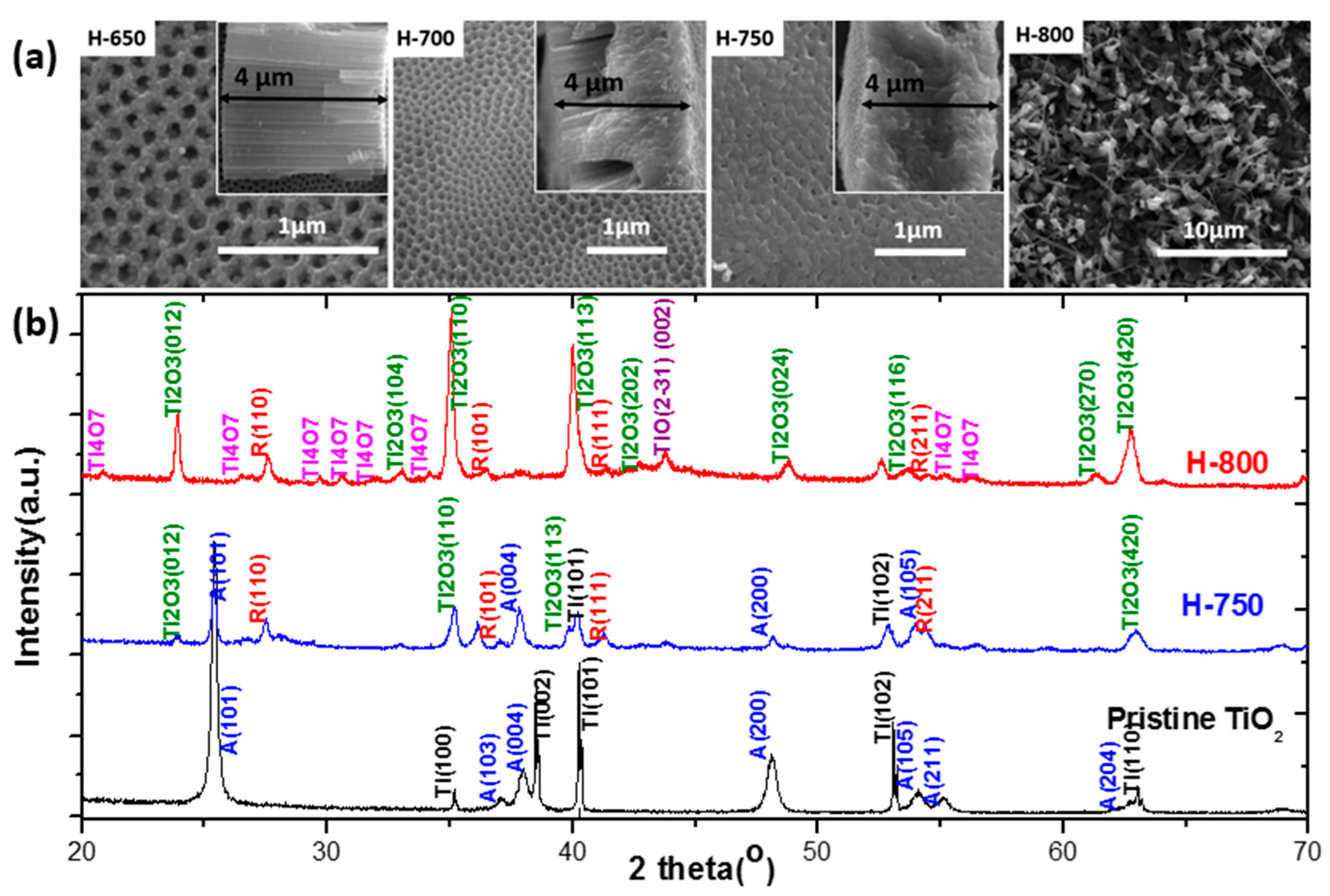 Coatings 11 00931 g011