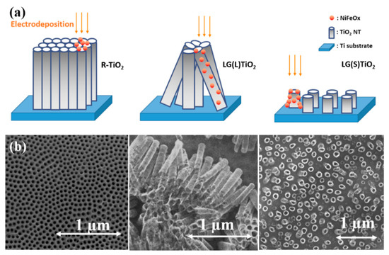 Coatings Free Full Text Tio2 Nanotubes Architectures For Solar Energy Conversion Html
