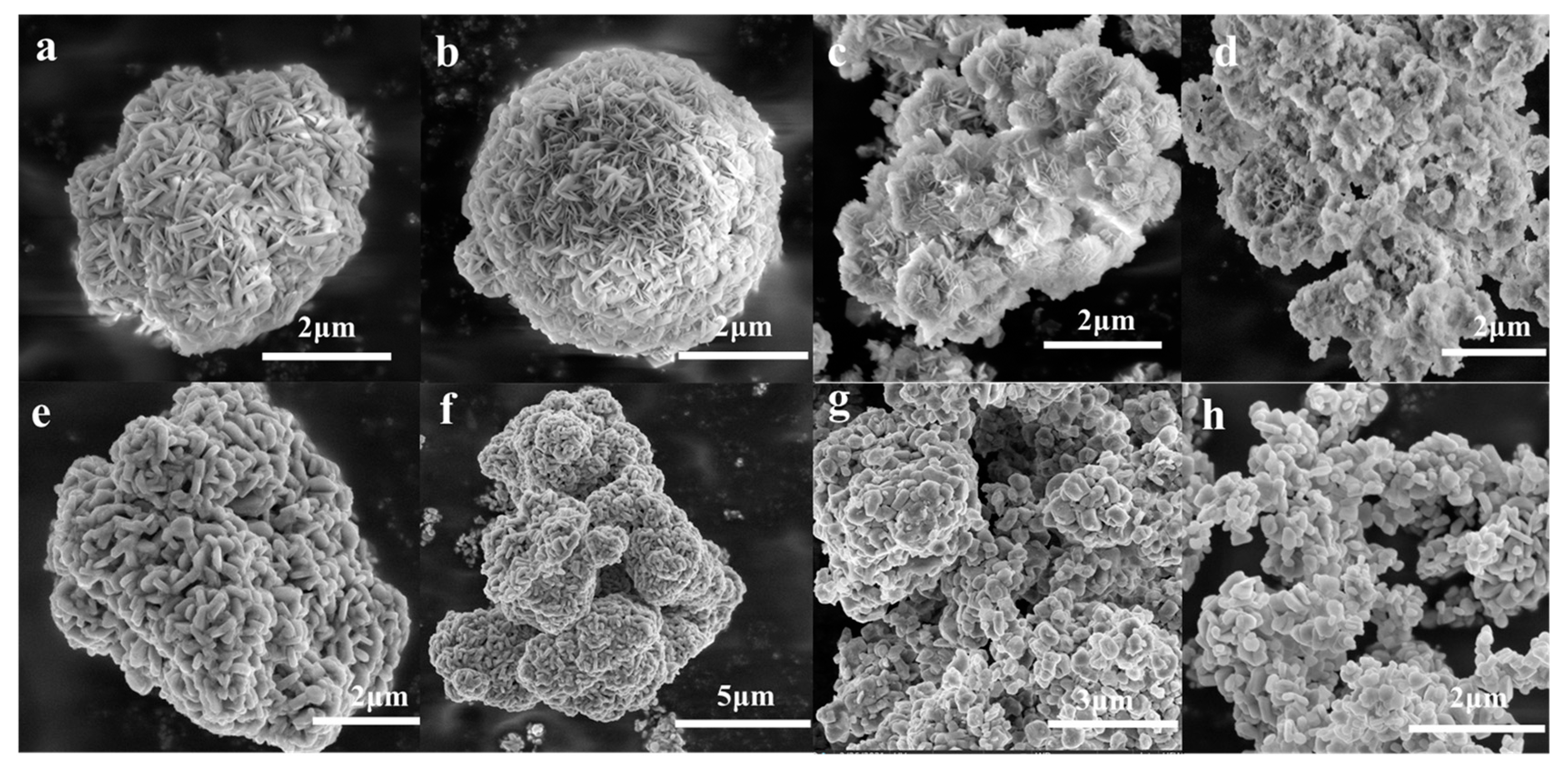 Coatings 11 00932 g003 550
