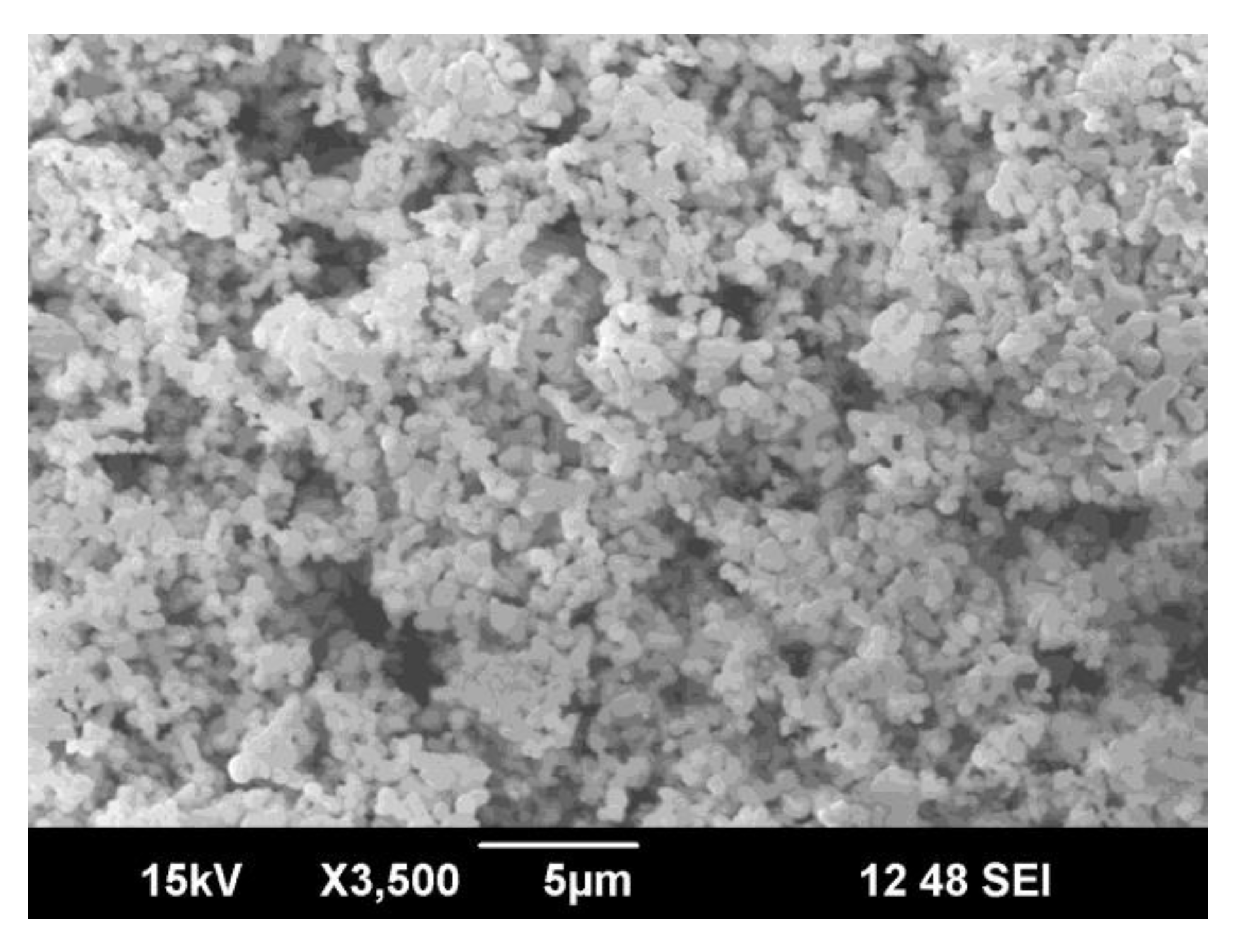 Coatings 11 00933 g002 550