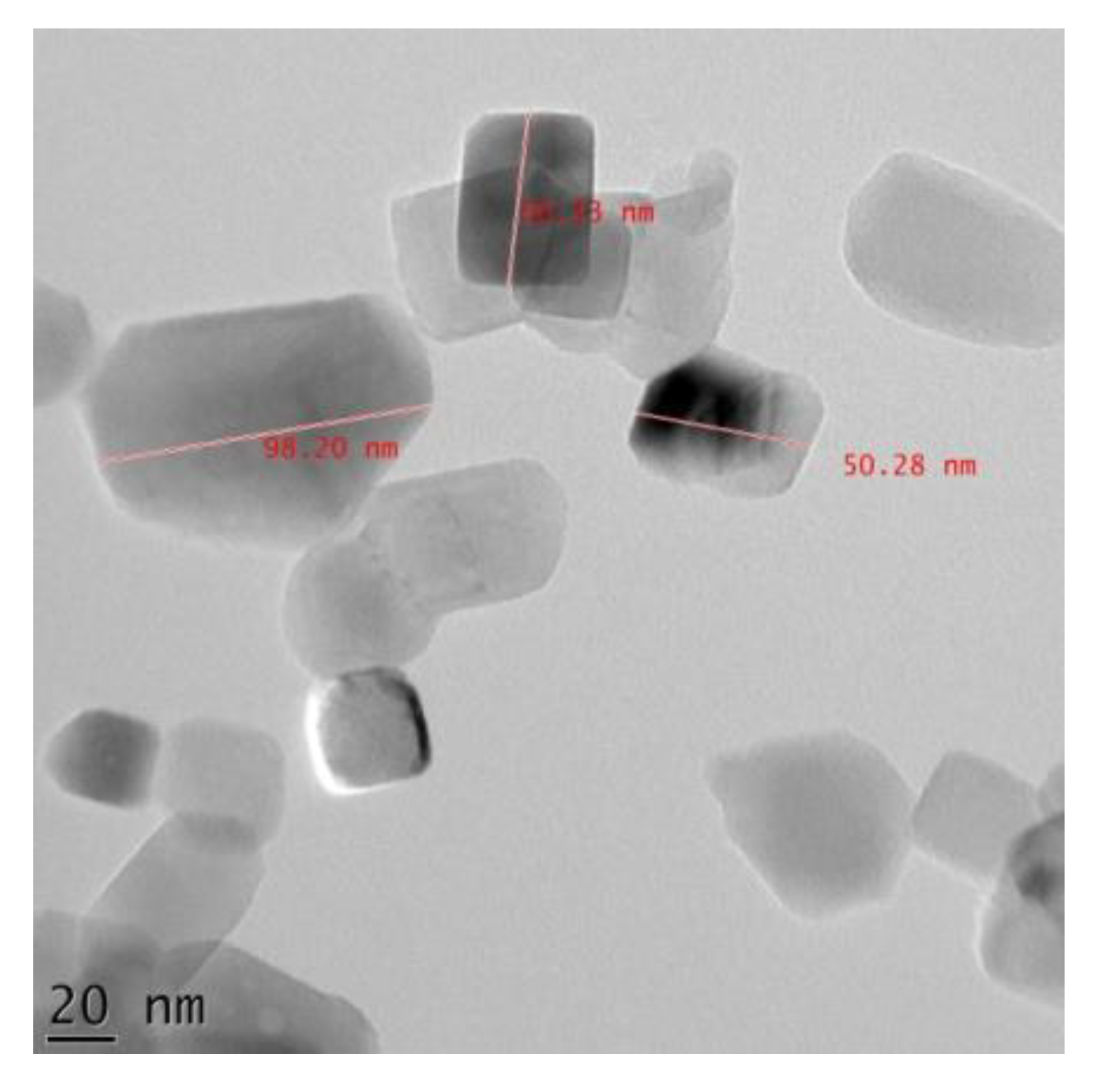 Coatings 11 00933 g003 550