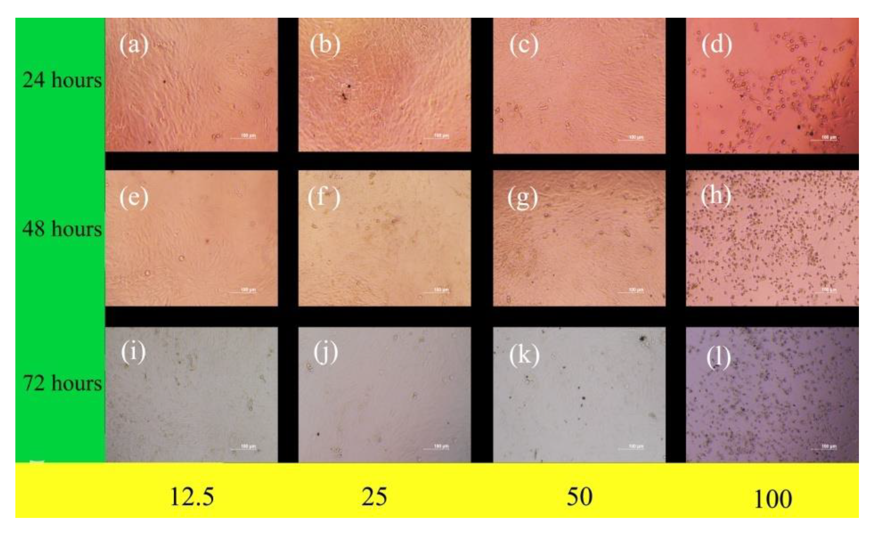 Coatings 11 00933 g010 550