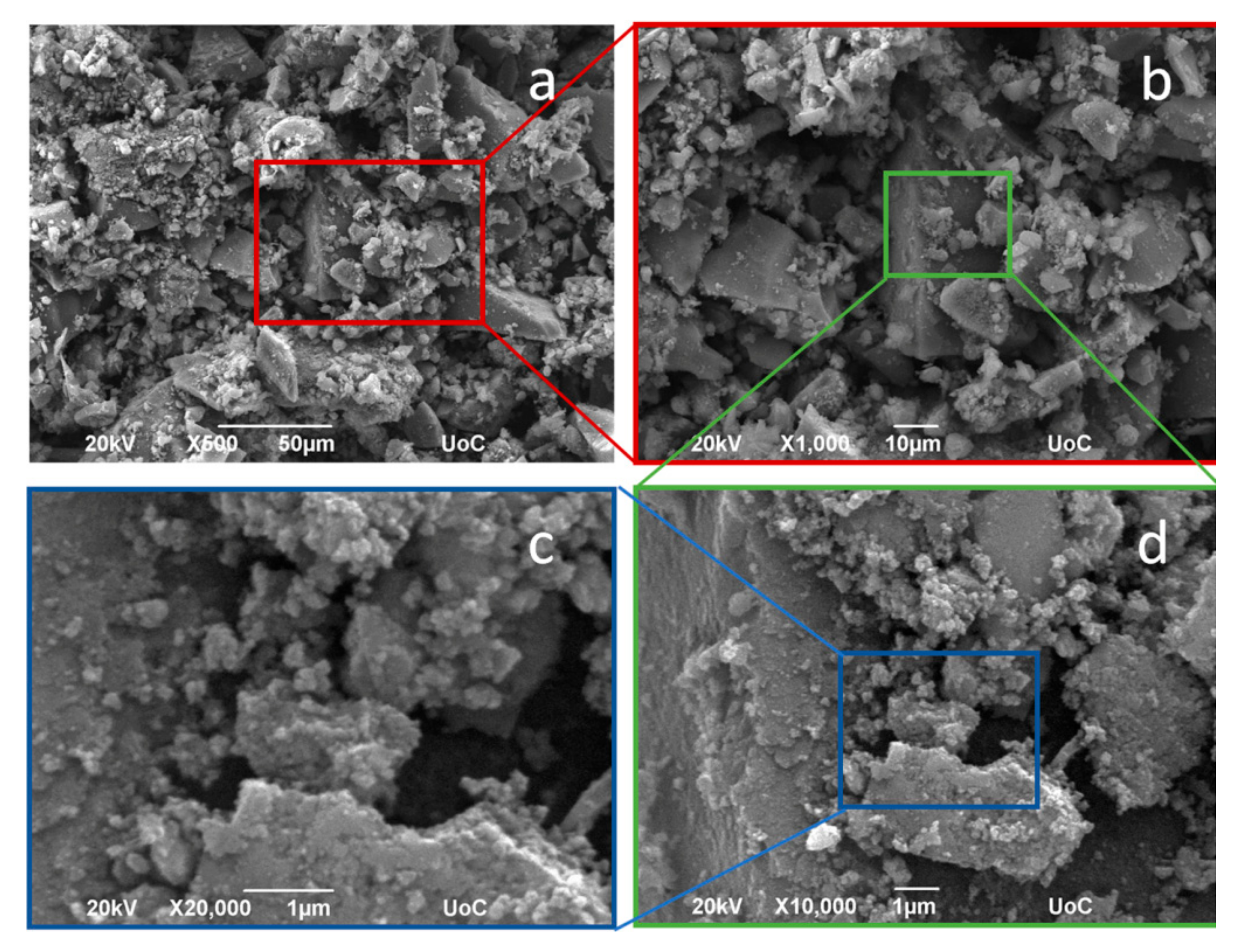 Coatings 11 00934 g005 550