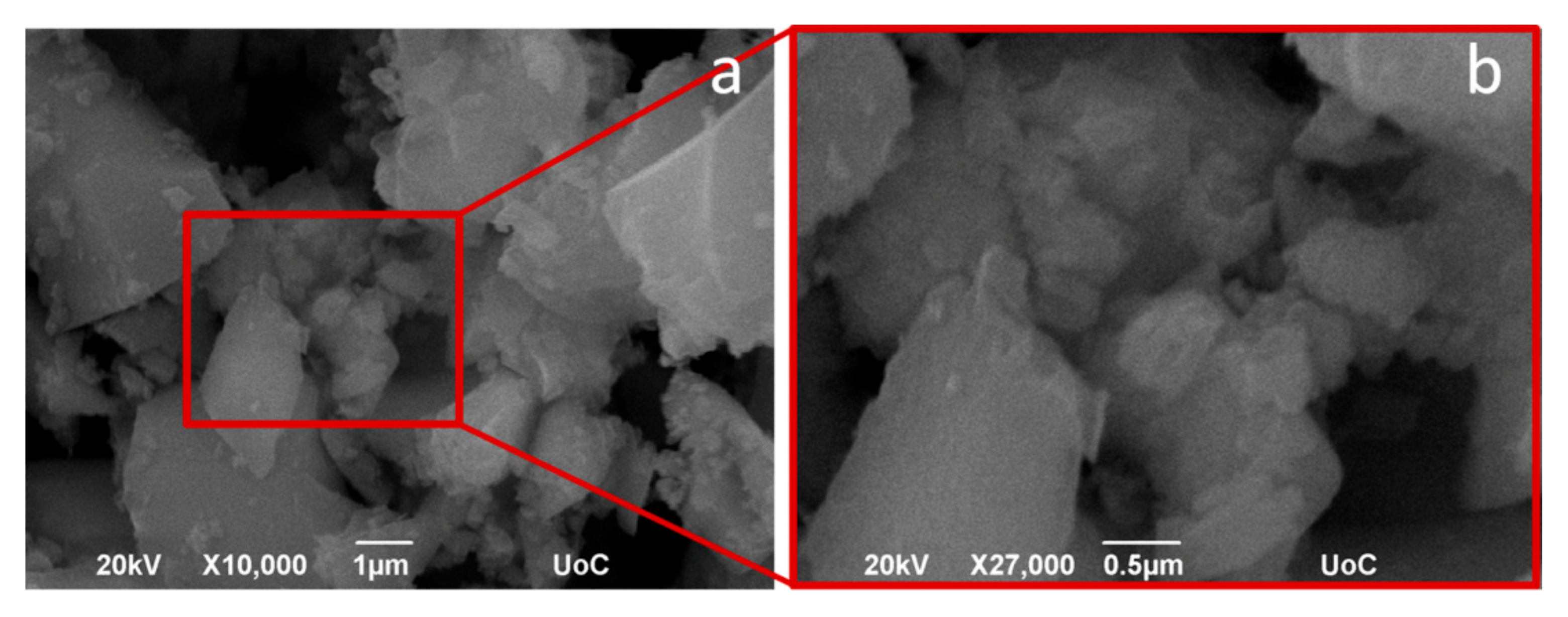 Coatings 11 00934 g006 550