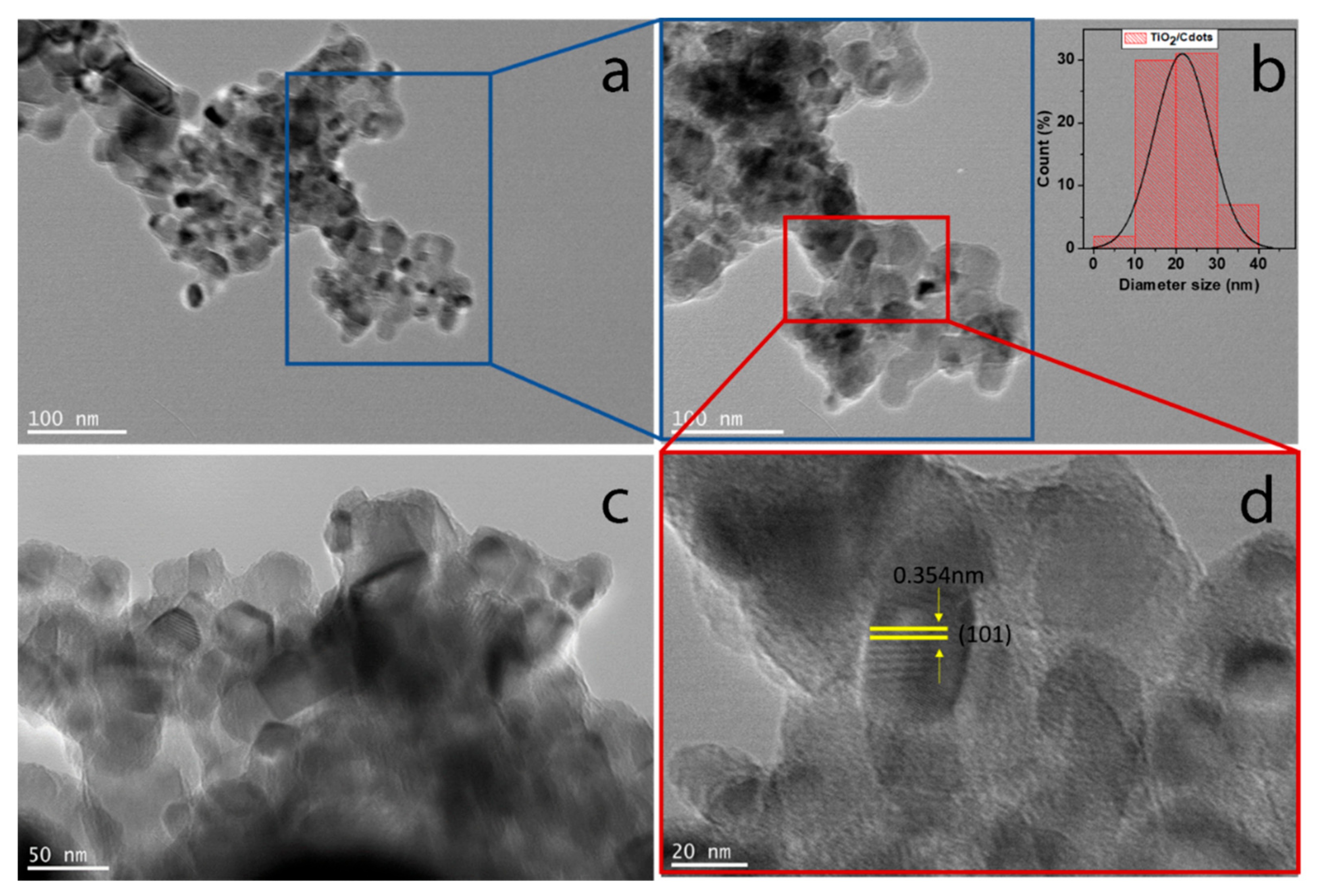 Coatings 11 00934 g007 550