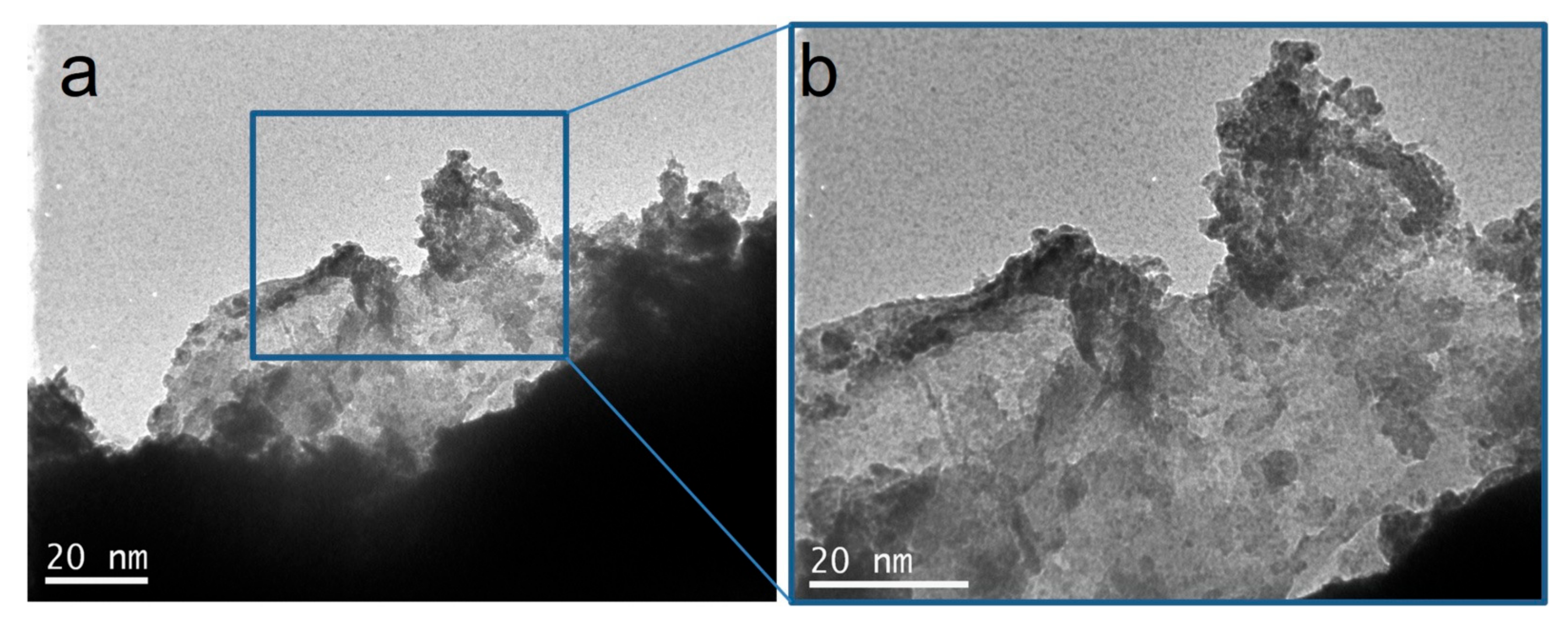 Coatings 11 00934 g008 550
