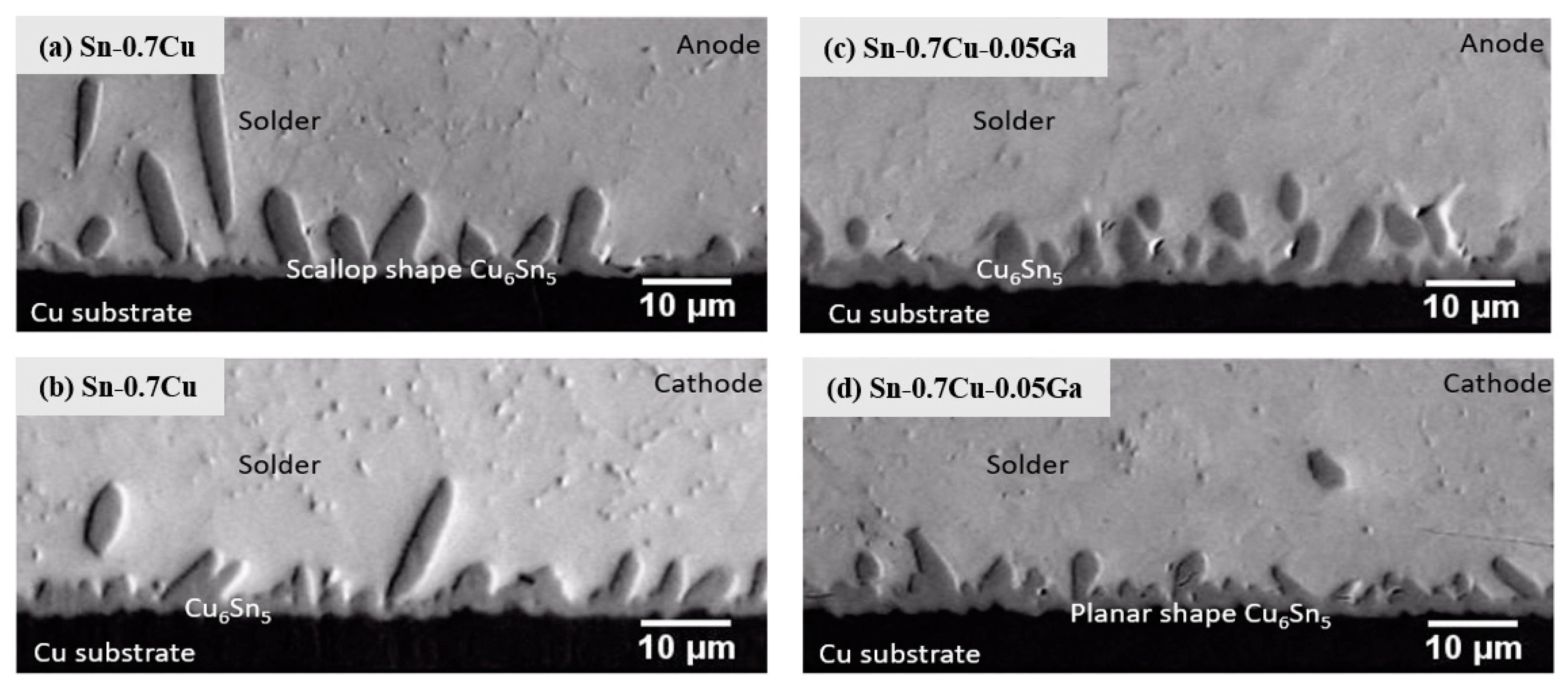 Coatings 11 00935 g005