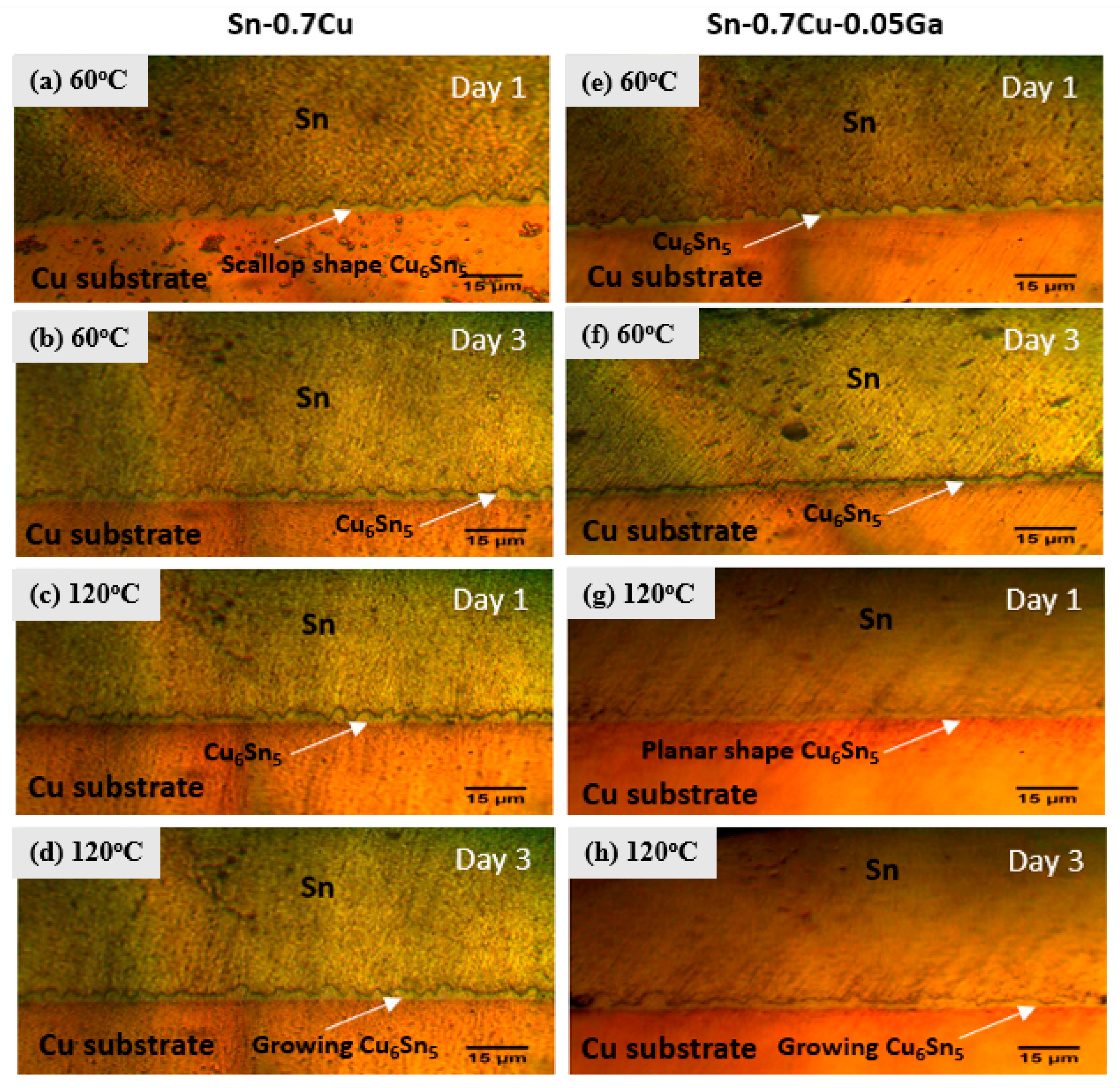 Coatings 11 00935 g006