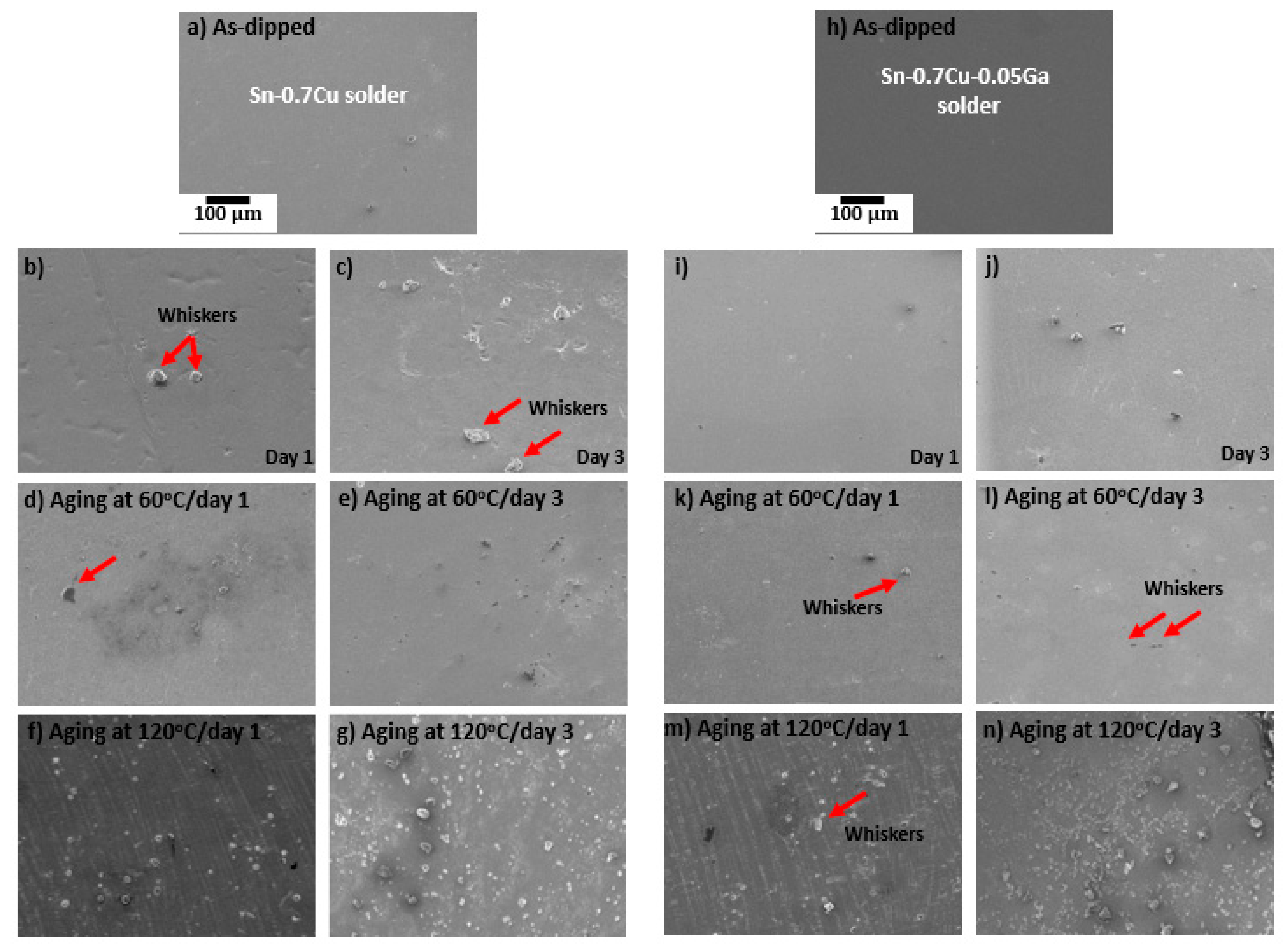 Coatings 11 00935 g009