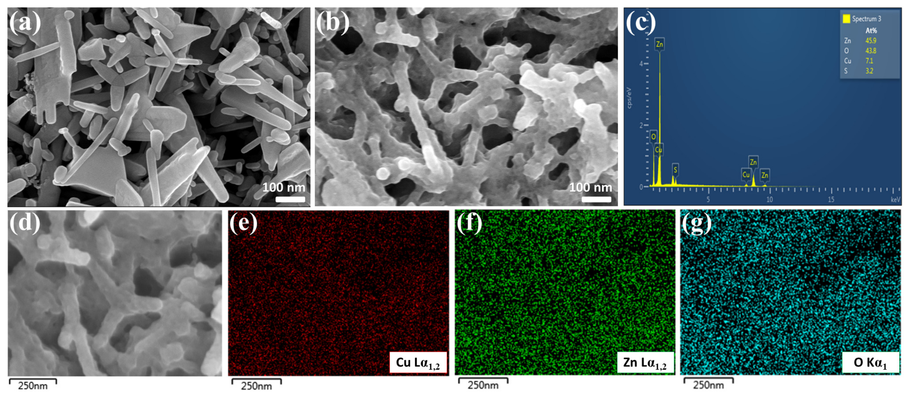 Coatings 11 00936 g001