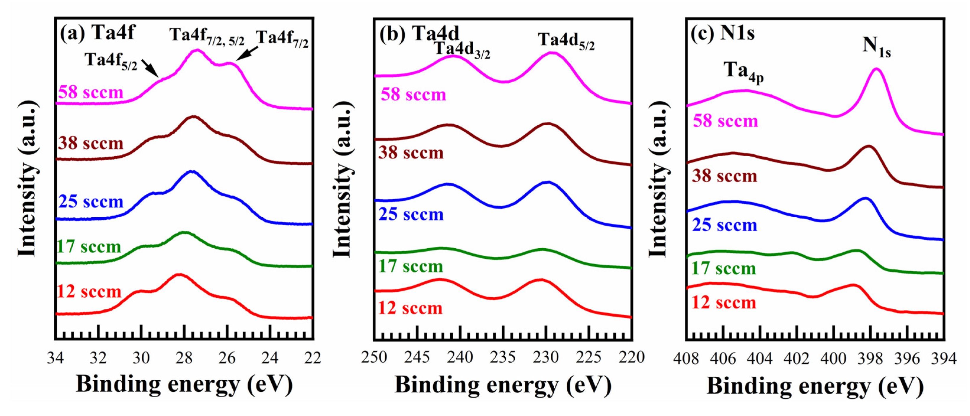 Coatings 11 00937 g006 550