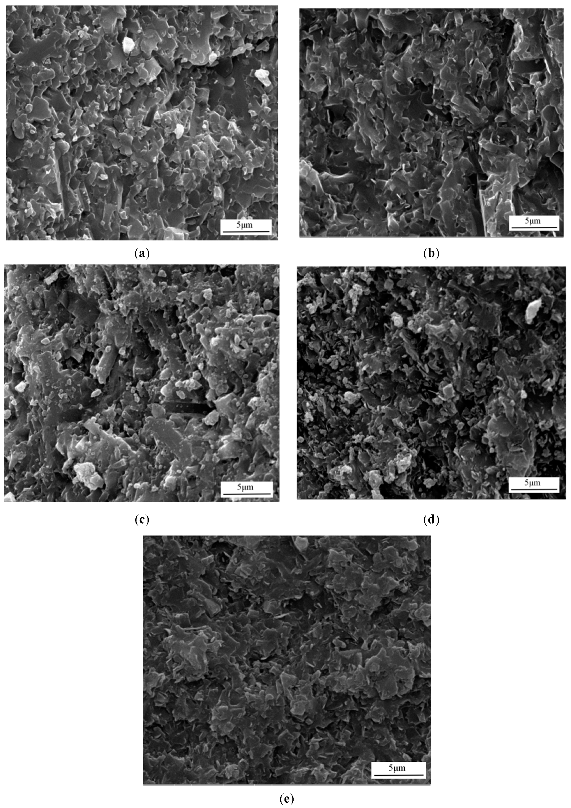 Coatings 11 00938 g002