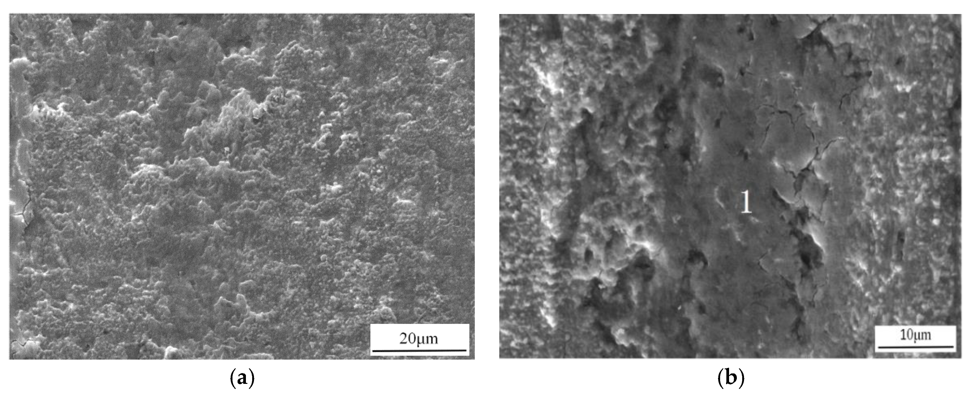 Coatings 11 00938 g005