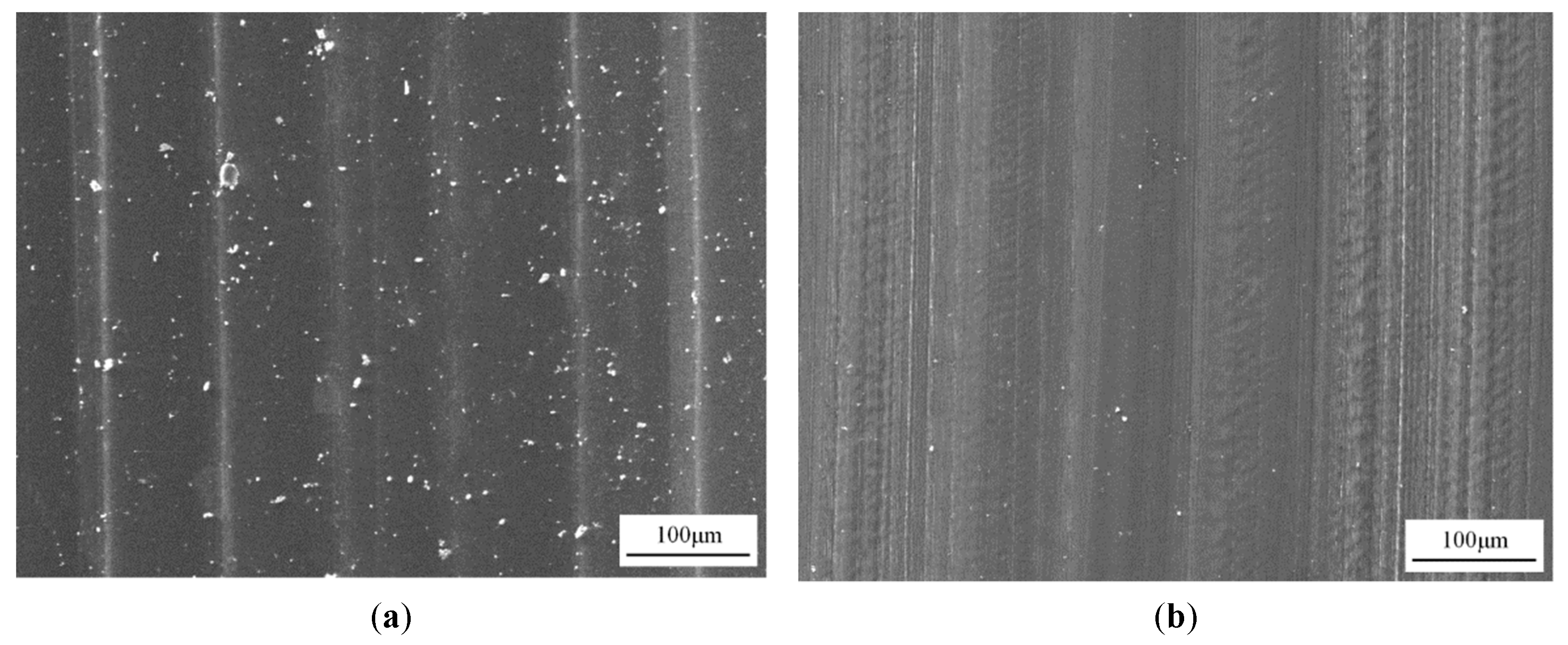 Coatings 11 00938 g008a