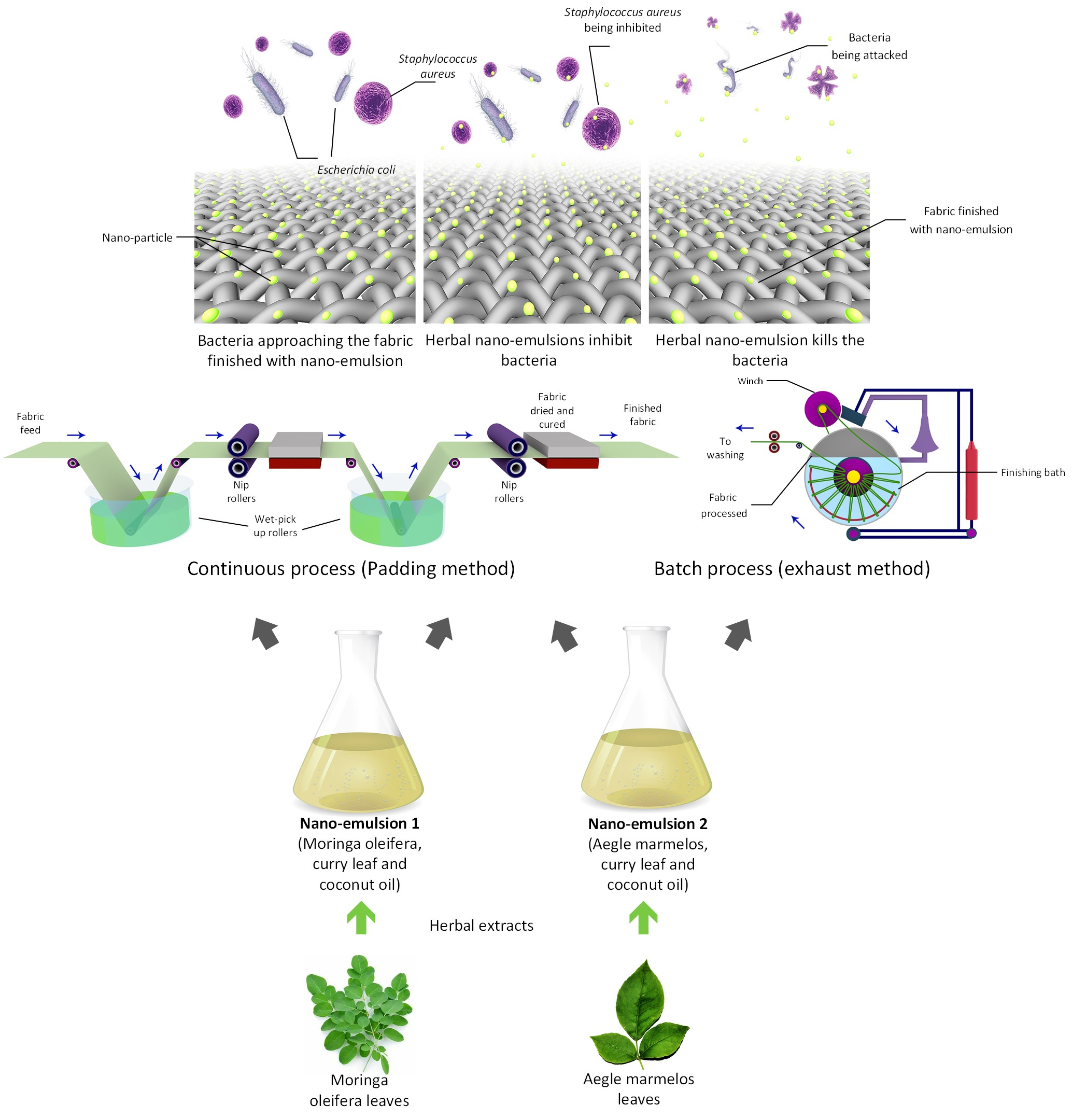 Coatings Free Full Text Development Of Advanced Textile Finishes Using Nano Emulsions From Herbal Extracts For Organic Cotton Fabrics Html