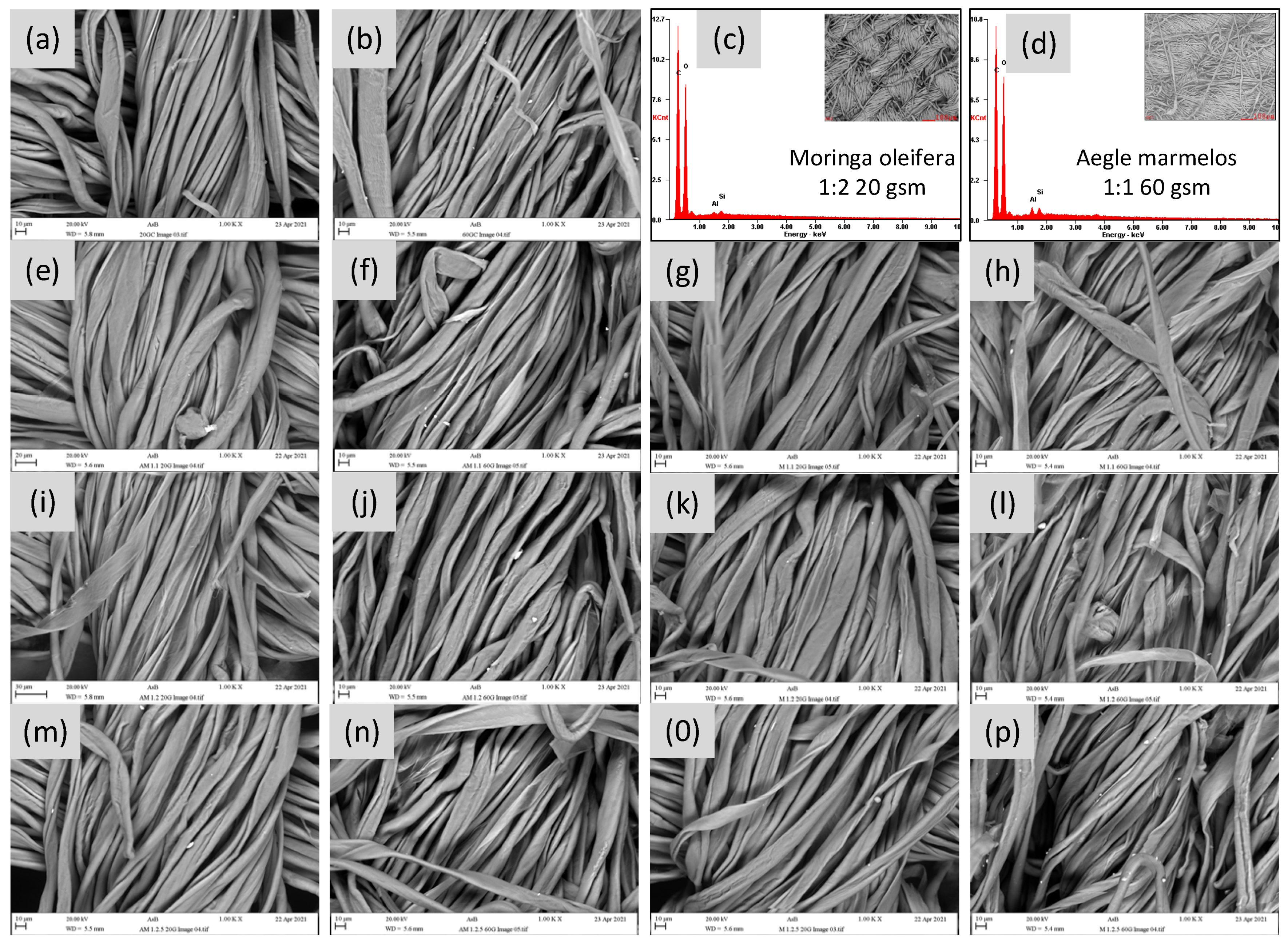 Coatings 11 00939 g012