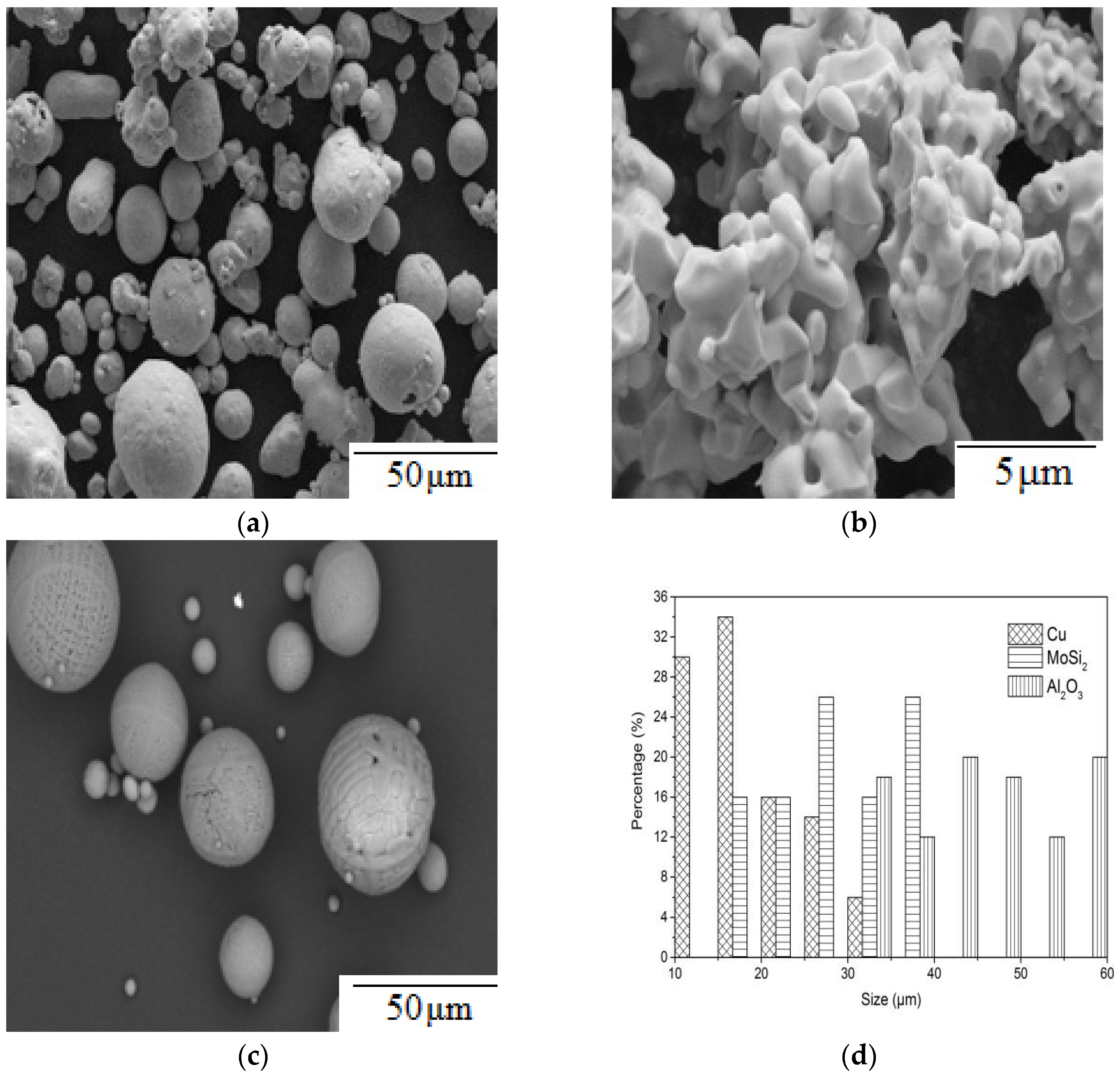 Coatings Free Full Text Effect Of Temperature On The Microwave Absorbing Properties Of An Al2o3 Mosi2 Coating Mixed With Copper Html