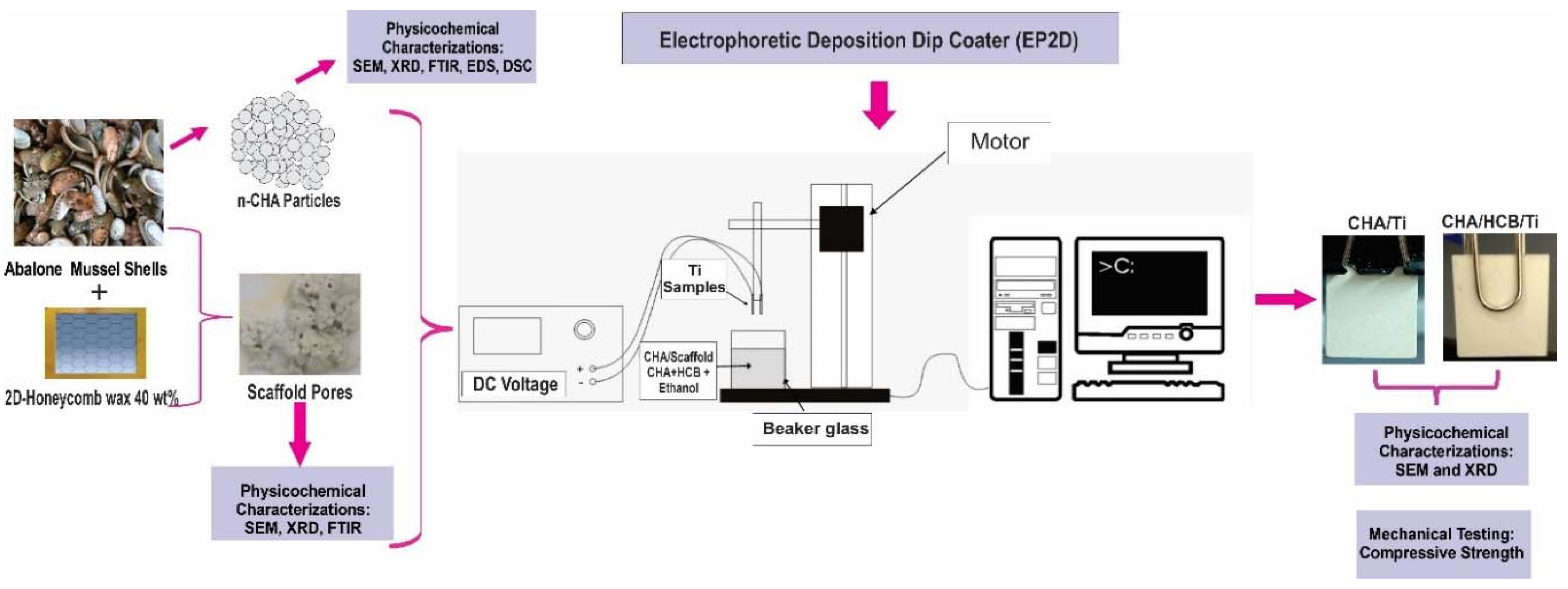 Coatings 11 00941 g001