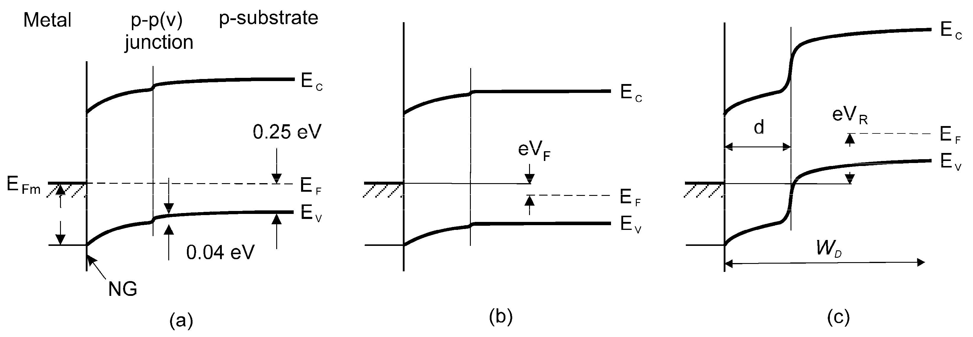 Coatings 11 00945 g006
