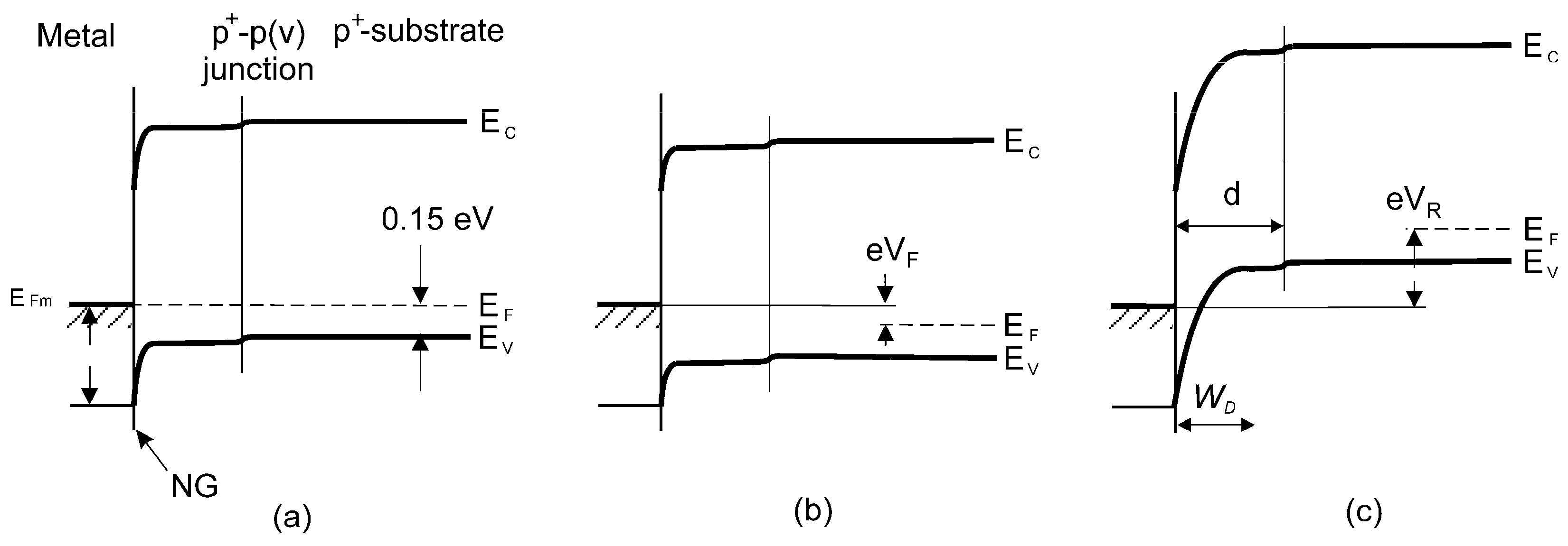 Coatings 11 00945 g007