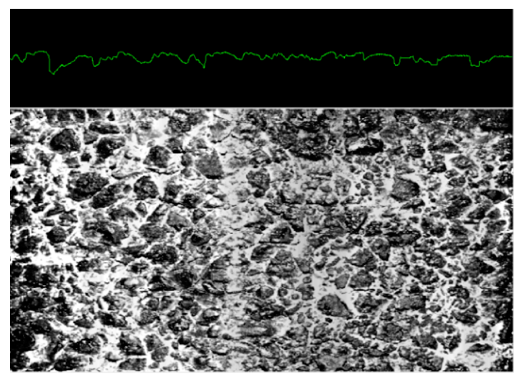 Coatings 11 00947 g002 550