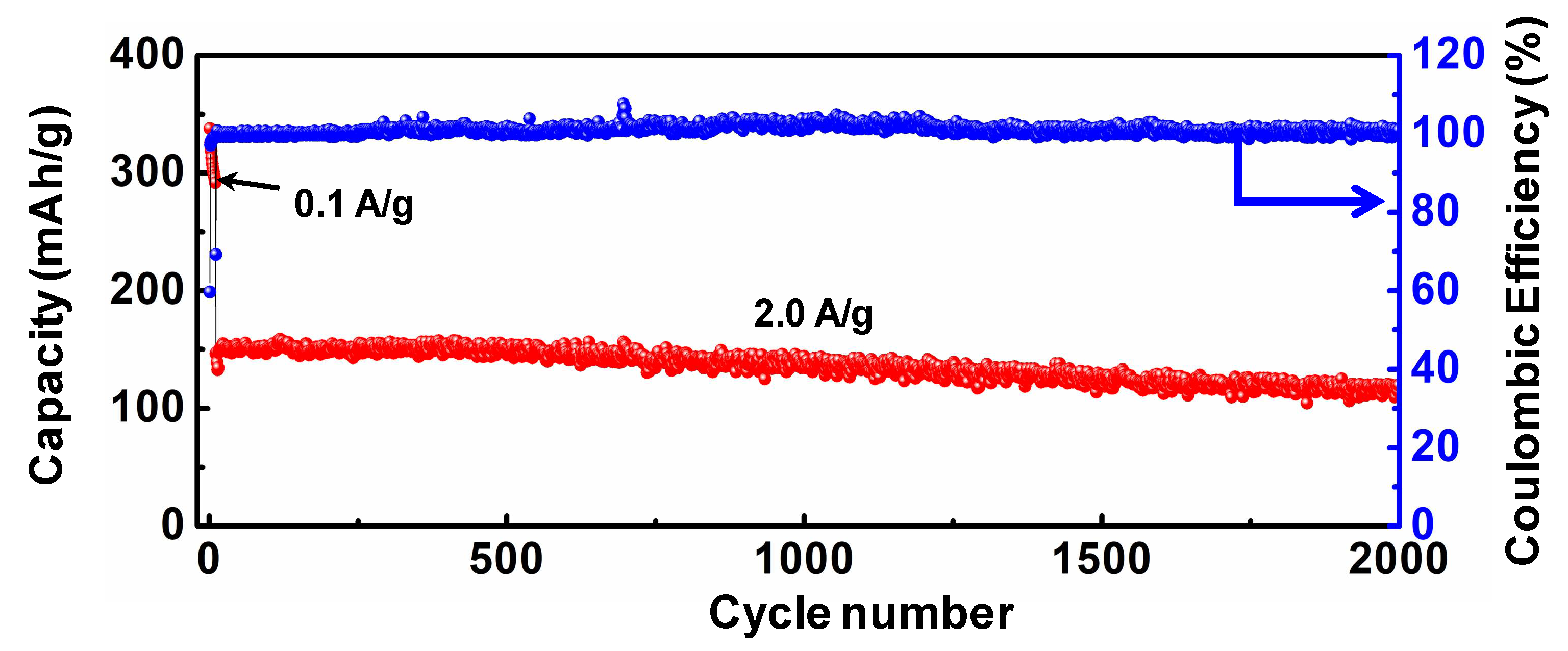 Coatings 11 00948 g006
