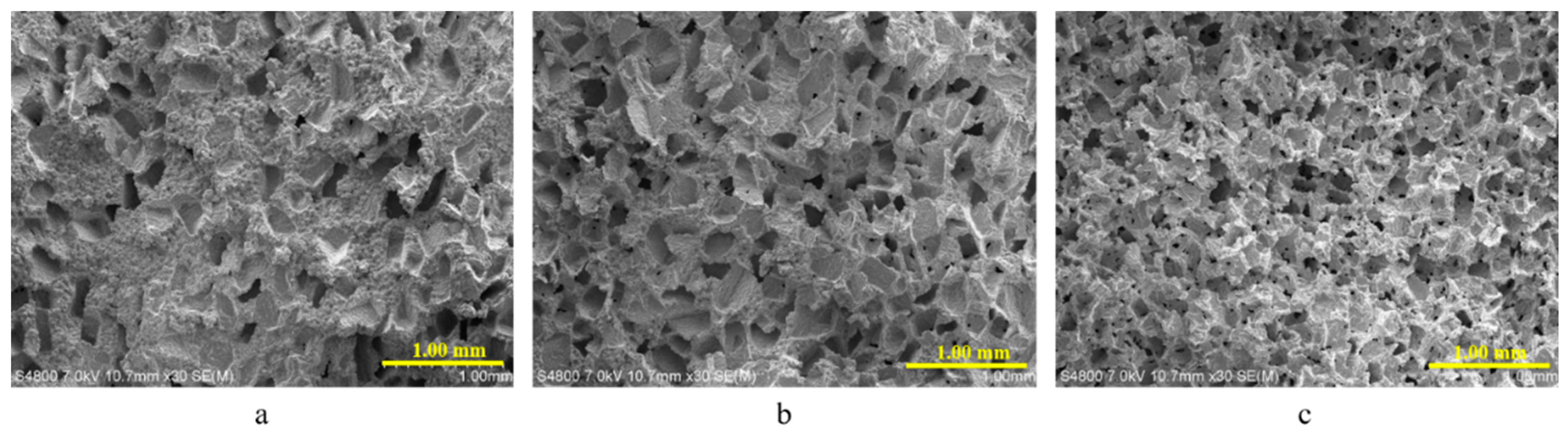 Coatings 11 00949 g001 550